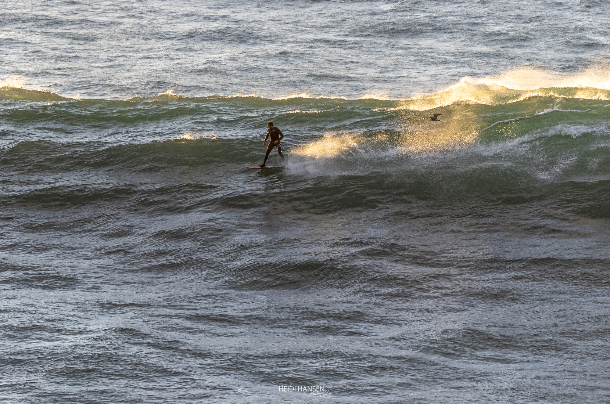 LucasChumbo_NZR_3270rc