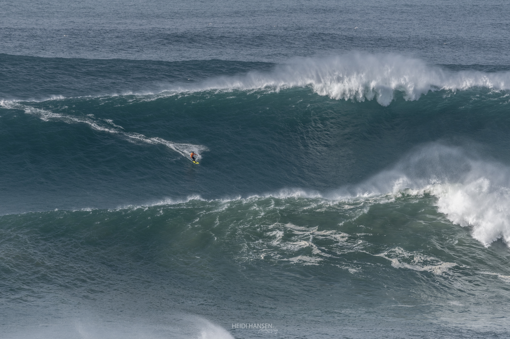 NicVonRupp_NZR_1491c