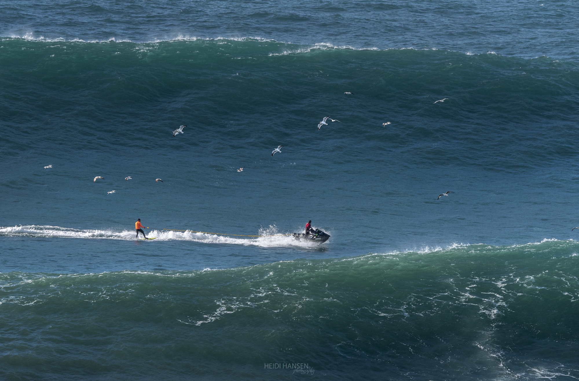 NicVonRupp_SergioCosmico_NZR_2211rc