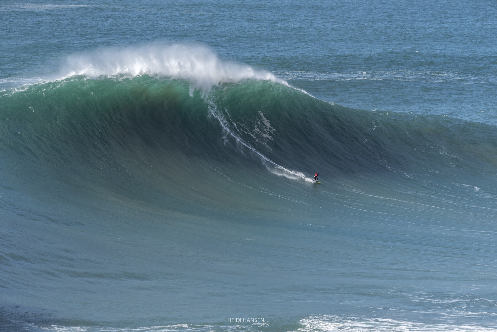 PatoTeixeira_NZR_1995rc