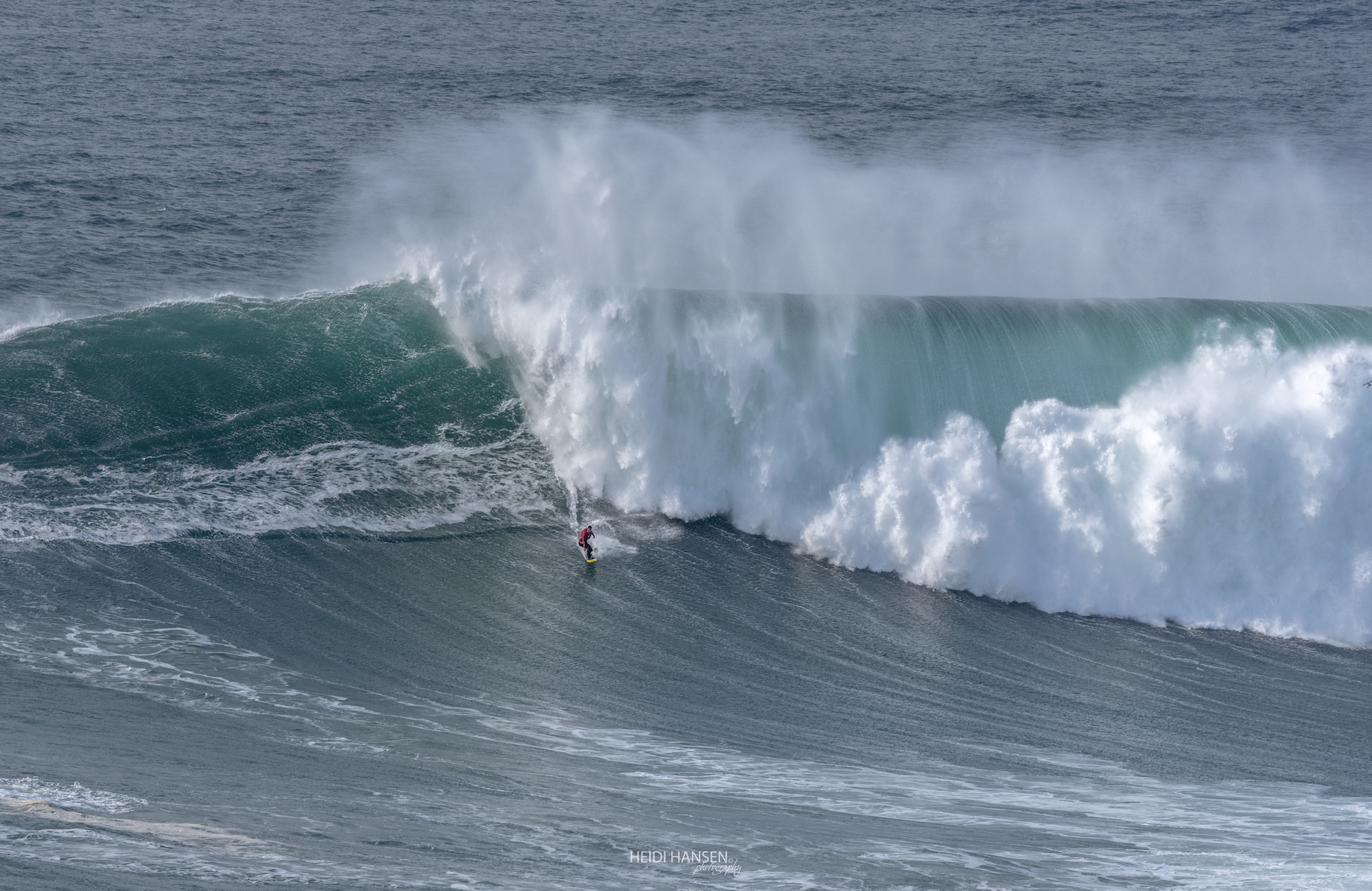 PatoTeixeira_NZR_2079rc