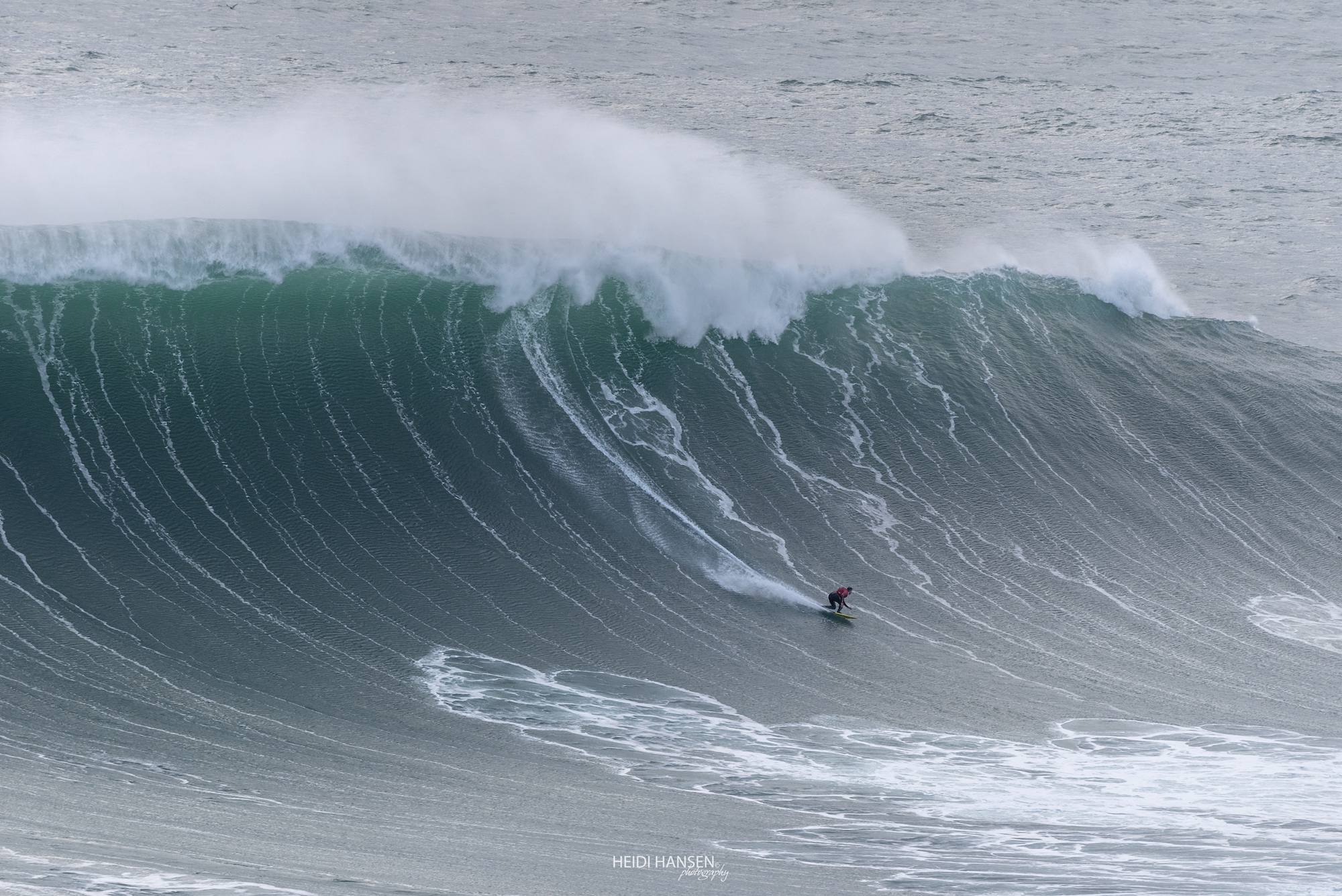 PatoTeixeira_NZR_2884rc