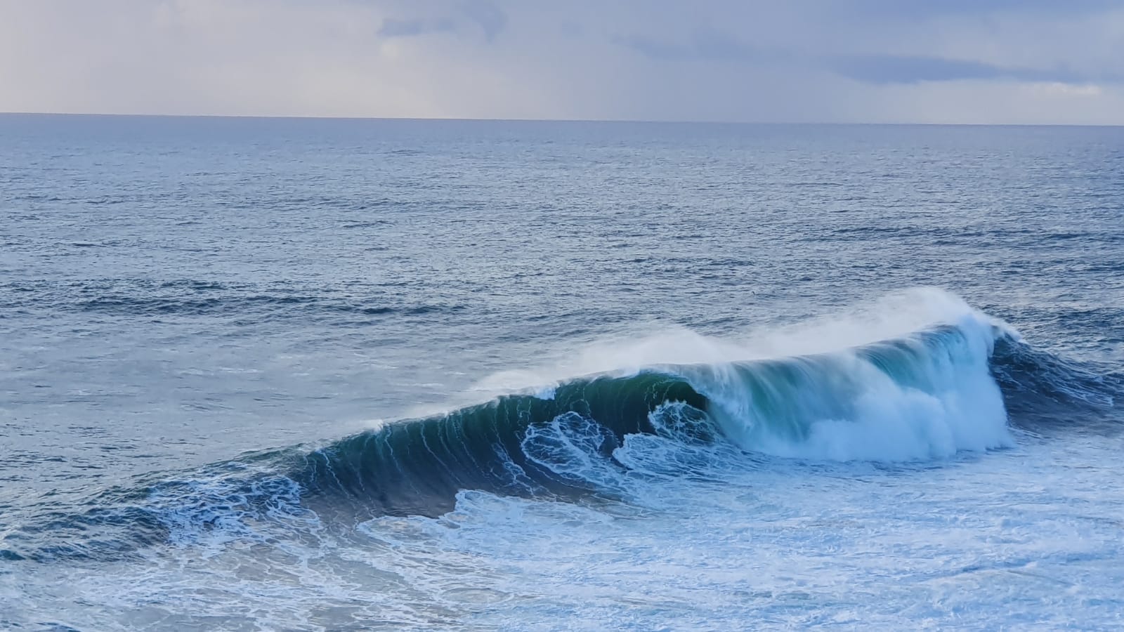 c8119bb2-5ff1-400f-8bd2-9936d10aca91