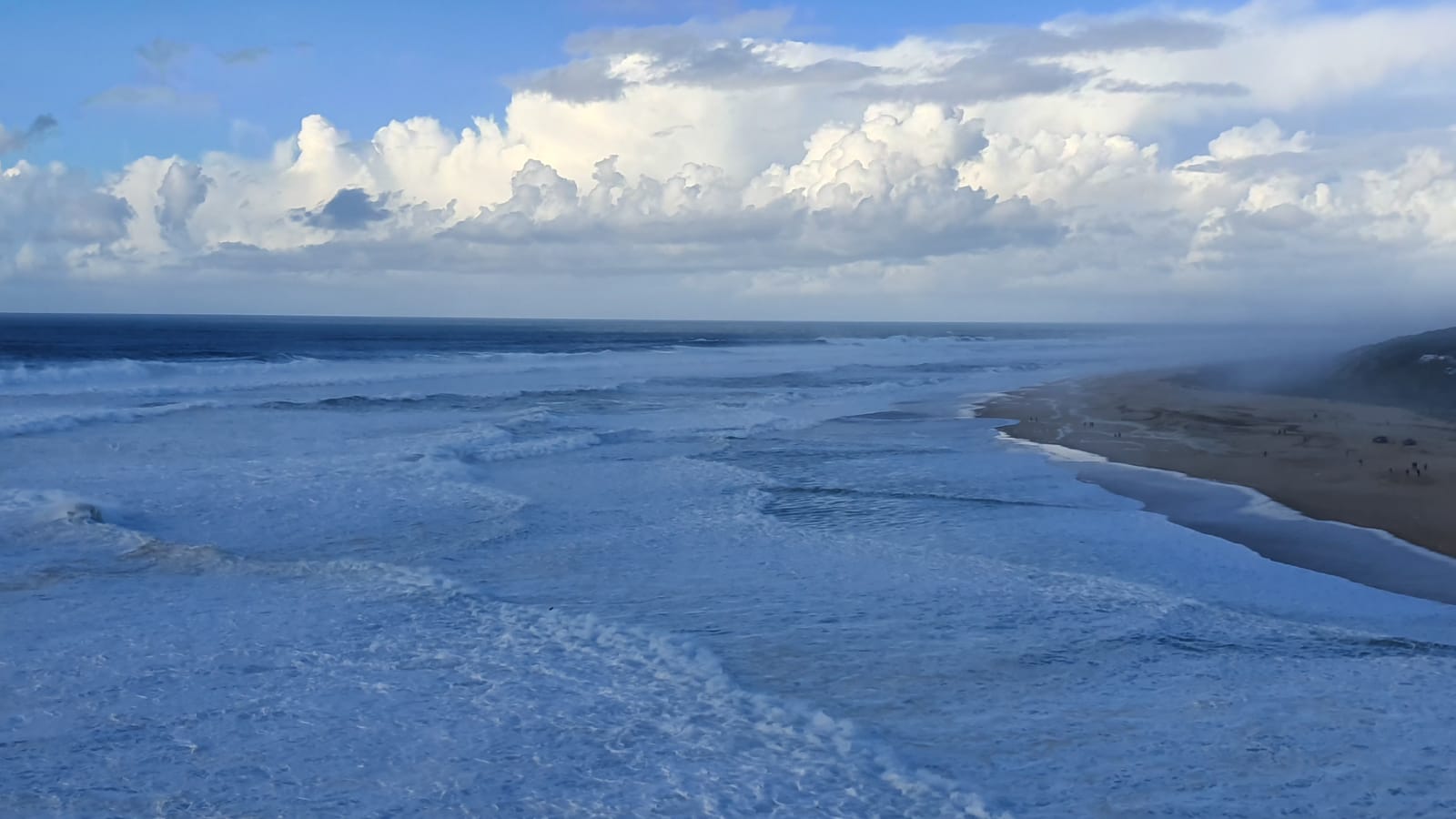 f6d3ed25-2f4e-4c3a-b9c5-aa445a1f23d6