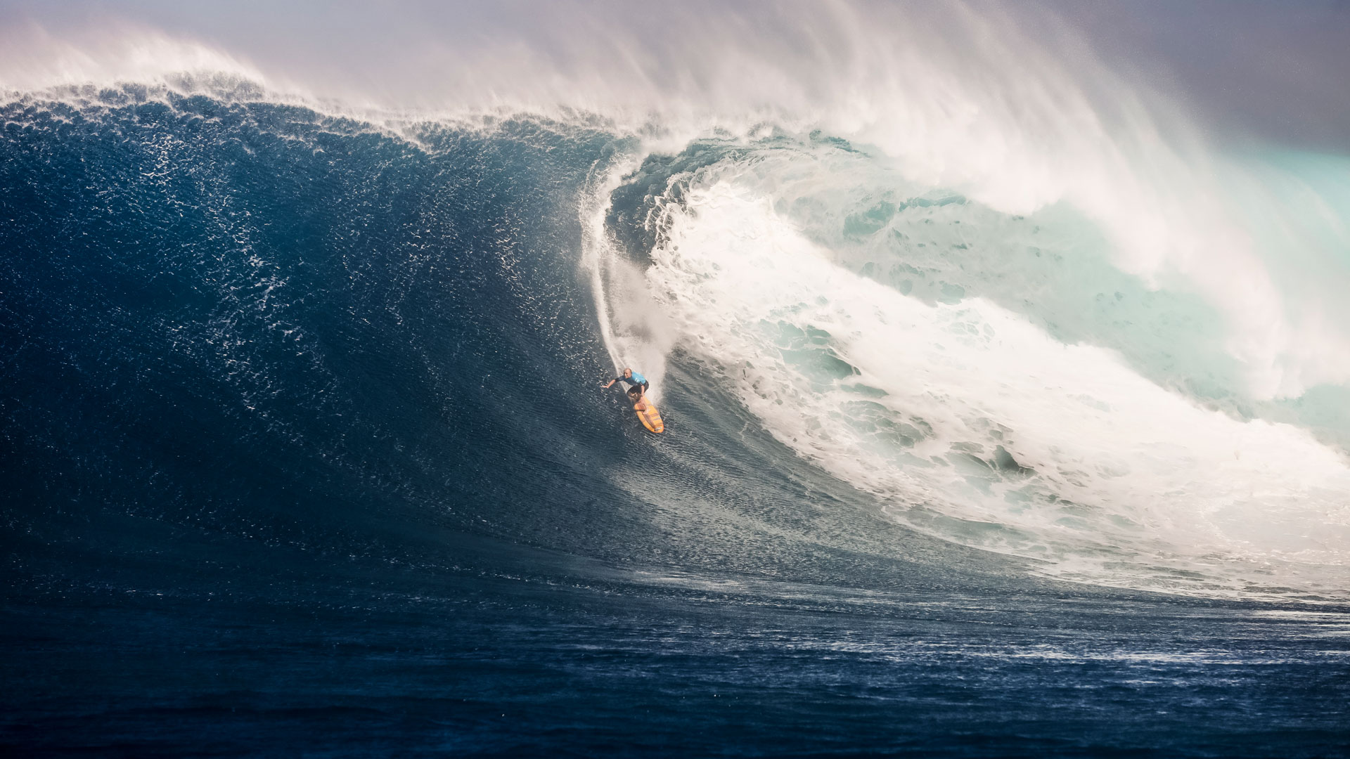 bierke_r0E1A8896JAWS19miersfeat
