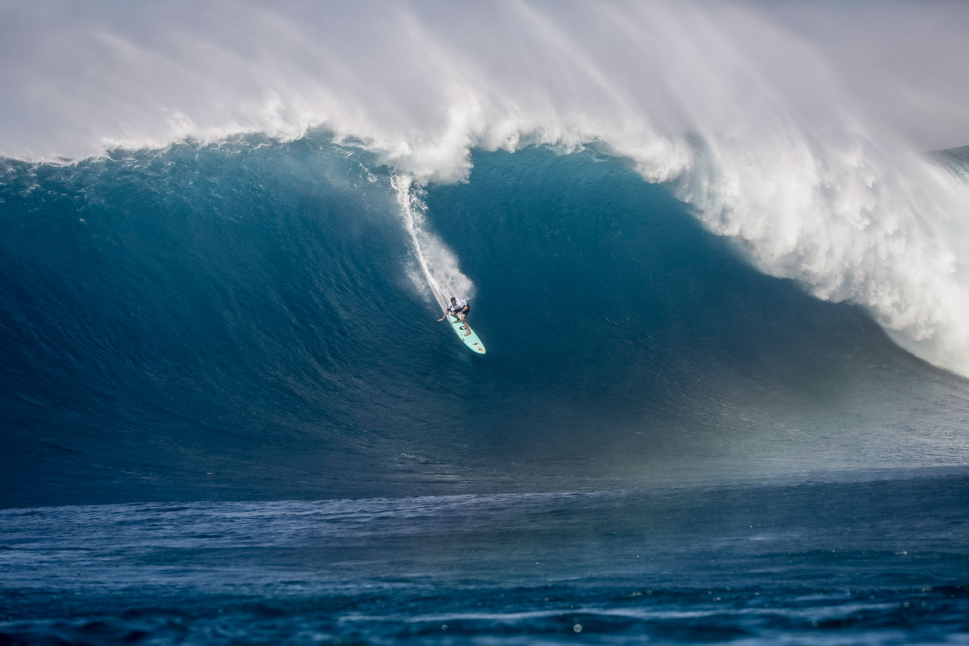 walsh_i0E1A9835JAWS19miers-(1) walsh_i0E1A9835JAWS19miers-(1)