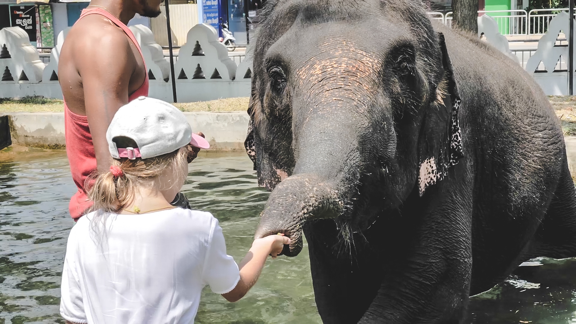 Solid Surf House Sri Lanka