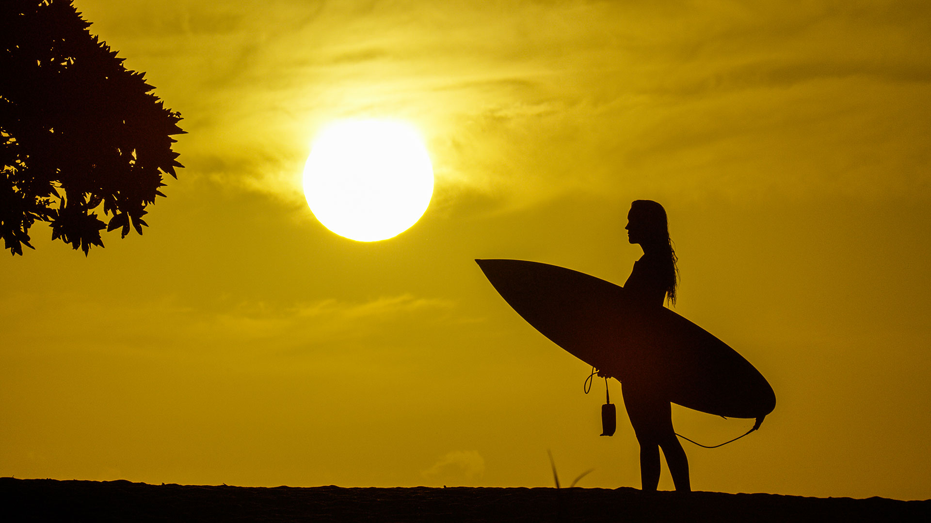 OCEAN_Vol7_UNSTOPPABLE_4(c)Aaron_Lieber_PRINT bethany hamilton, unstoppable, aaron lieber