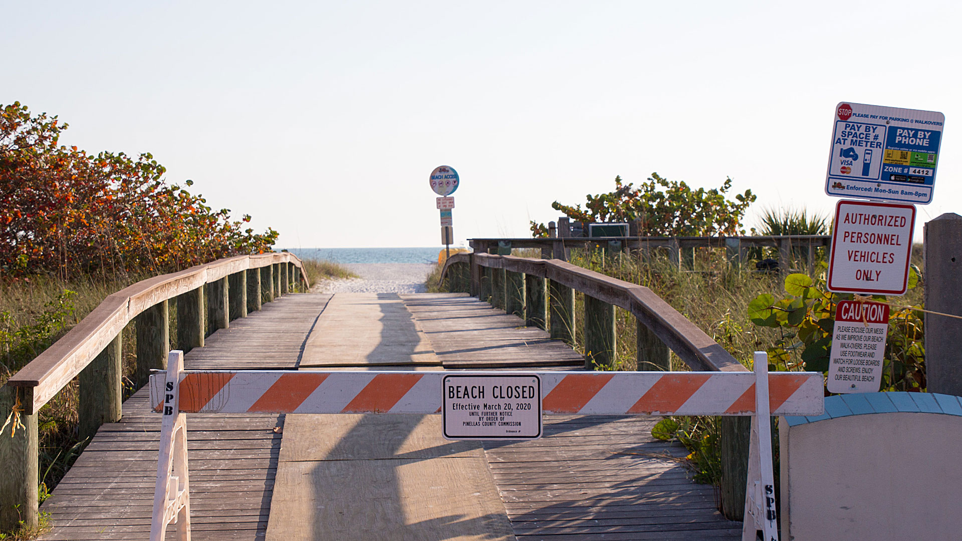 corona, weltweit, surfen, surf, beach