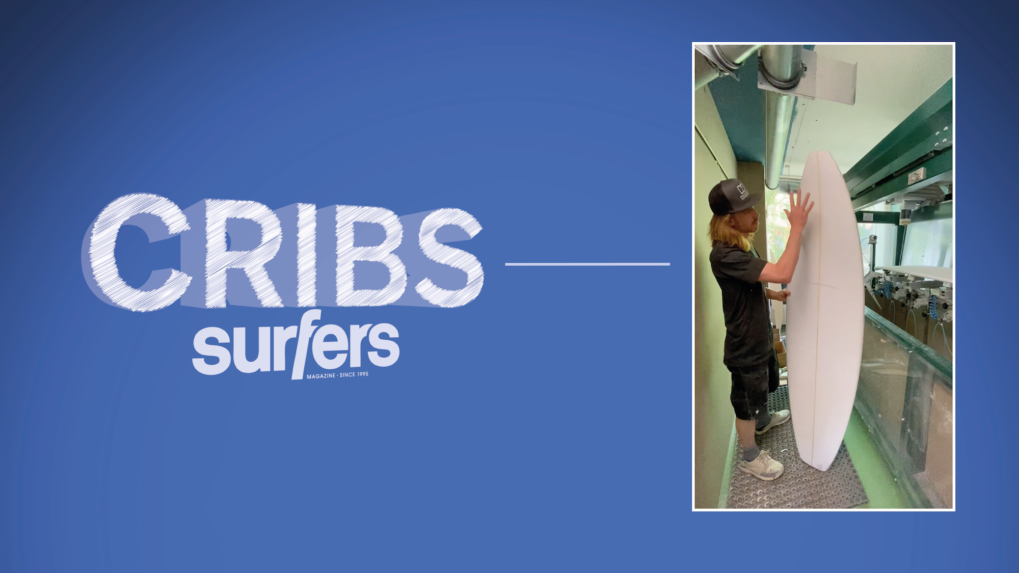 delight Alliance delight Alliance