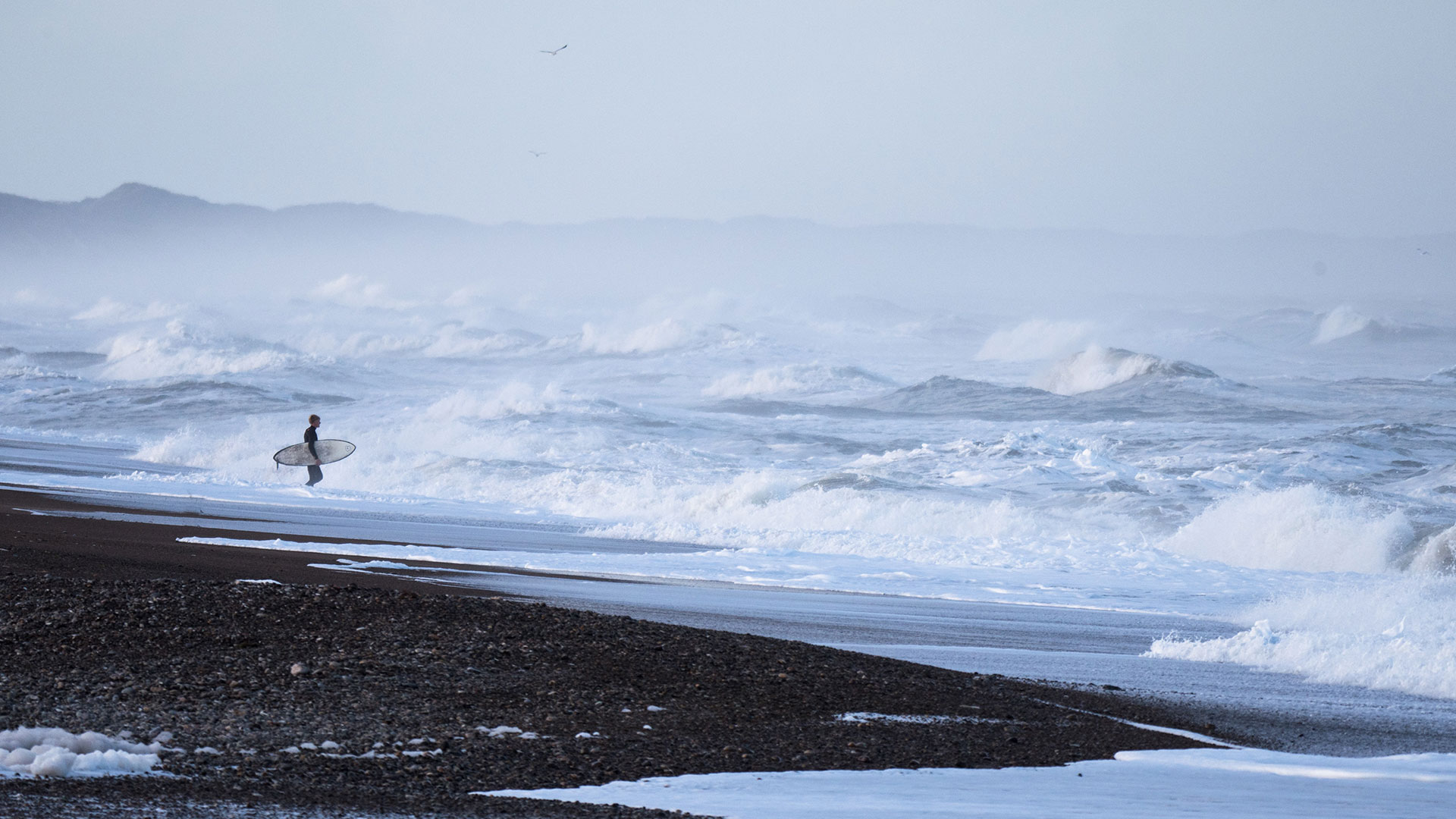 dänemark, surfen