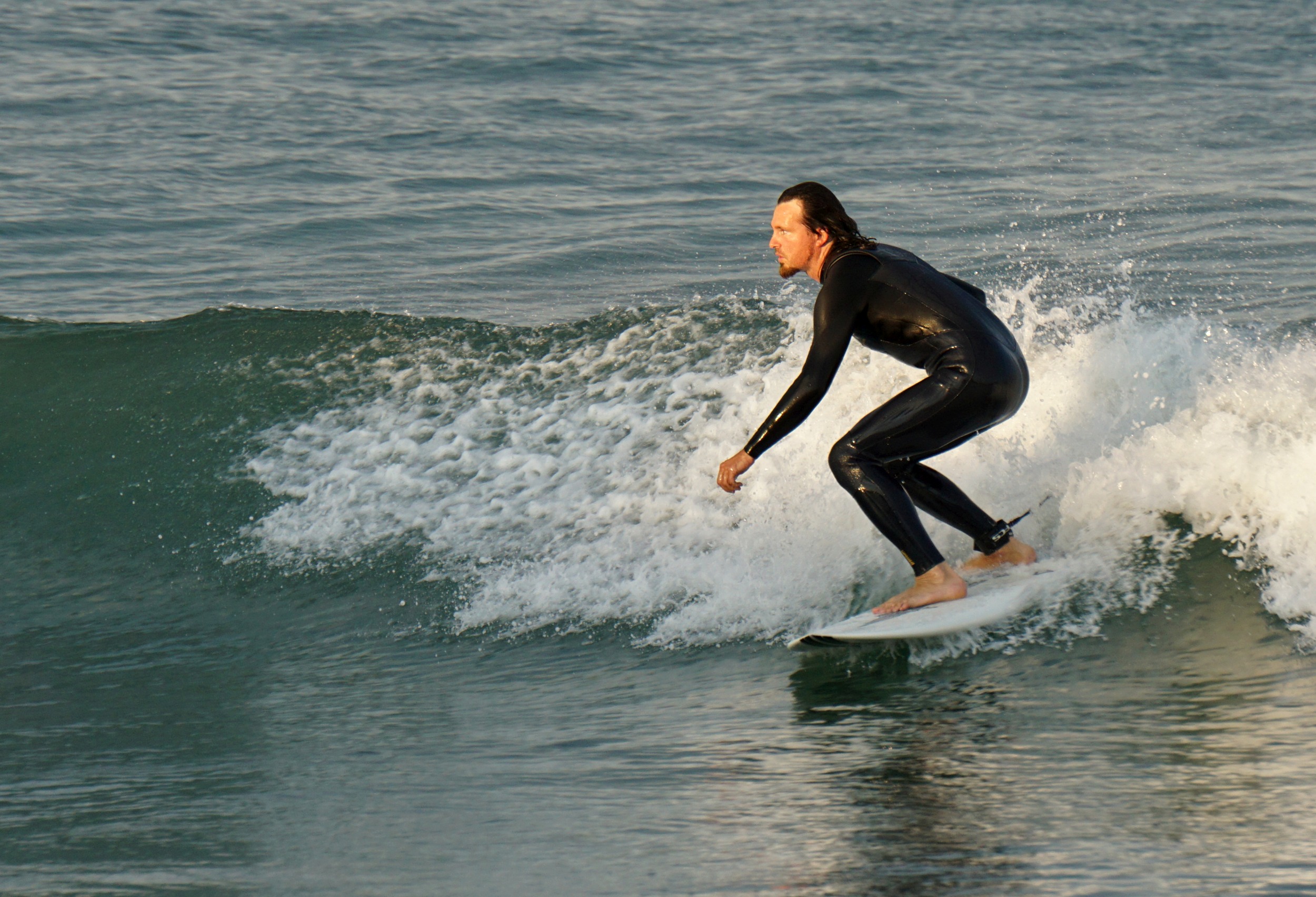 DSC01314b_cut
