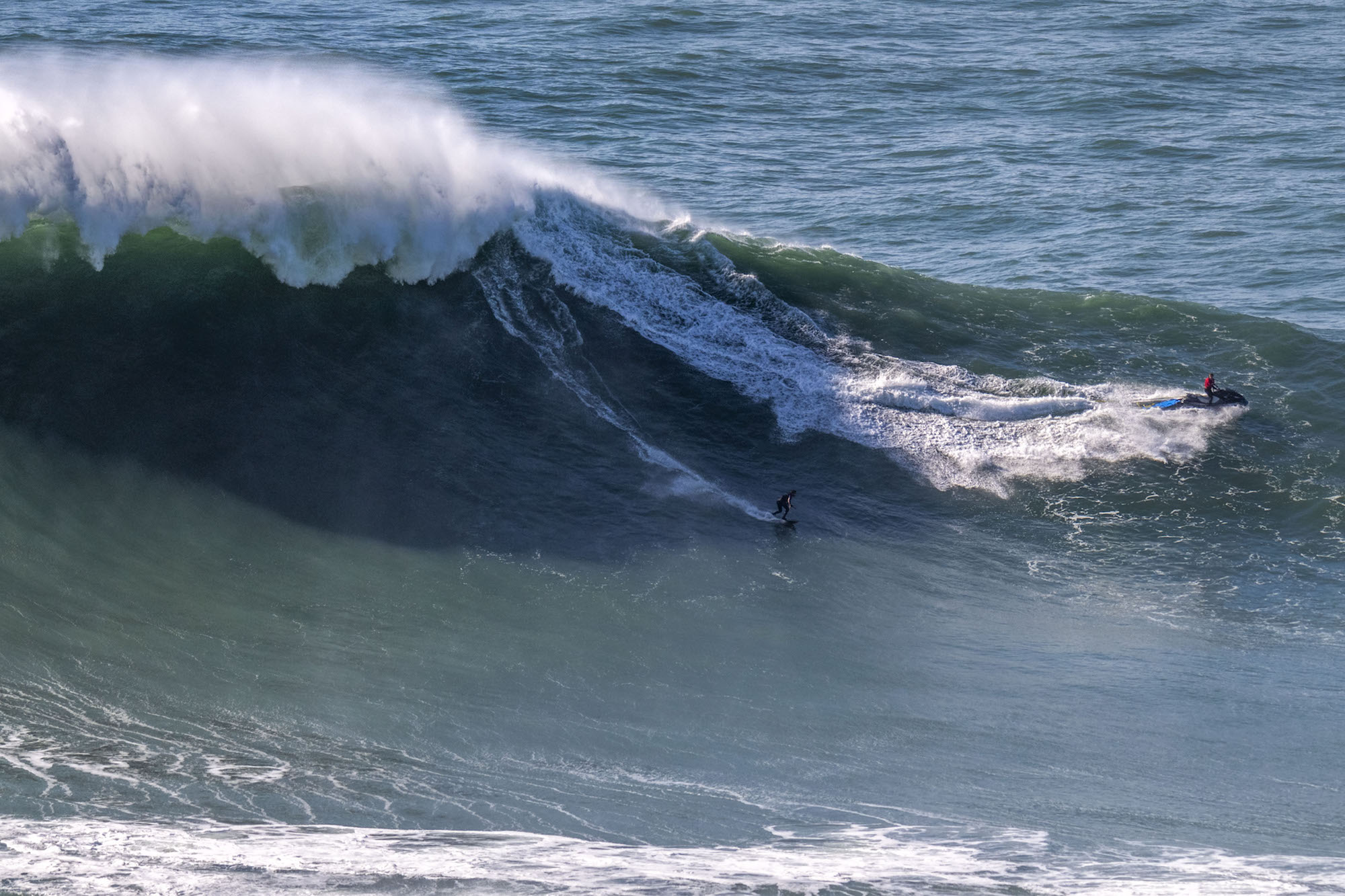 PedroScooby_NAZ_2101c