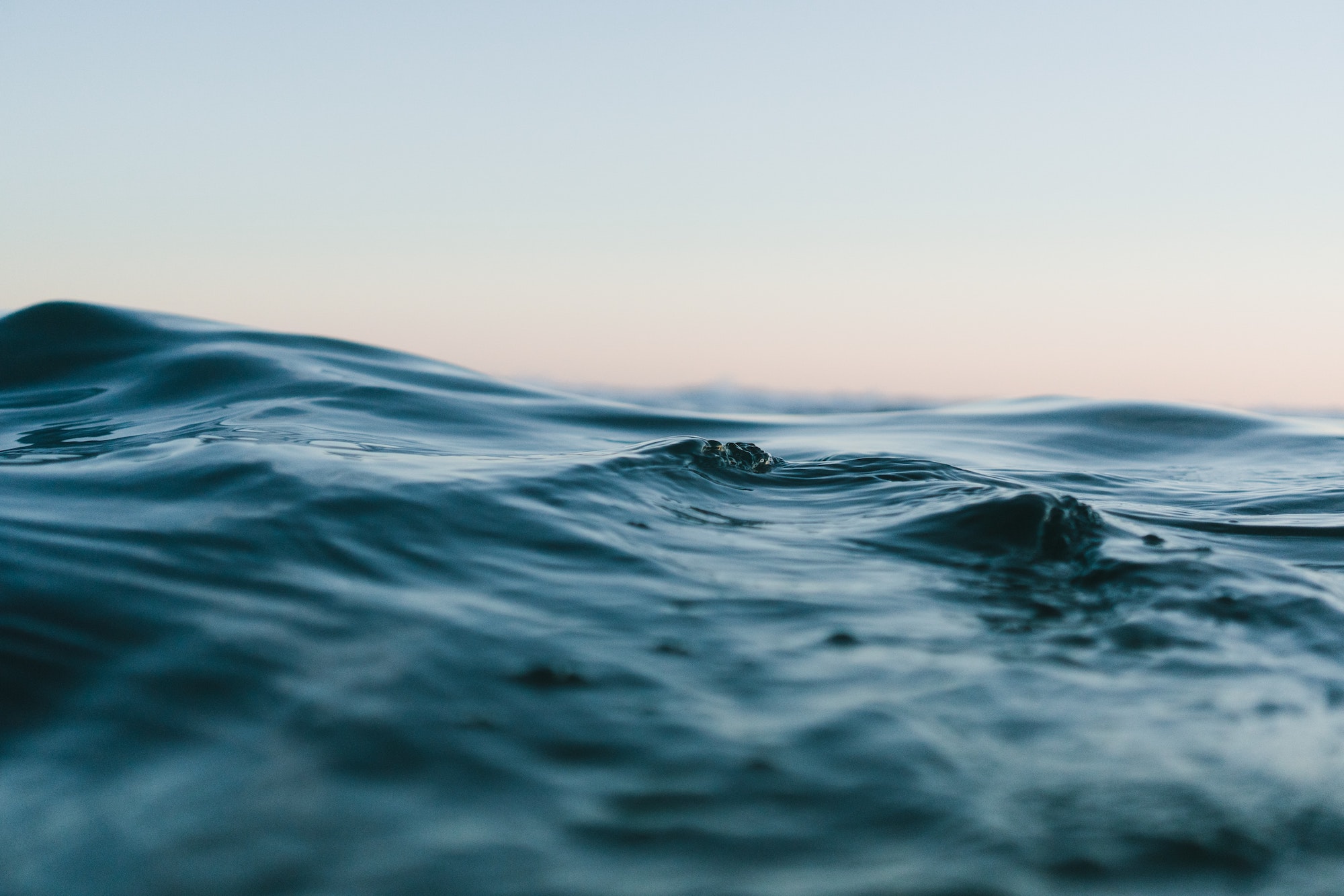Matt Hardy Ocean Matt Hardy Ocean
