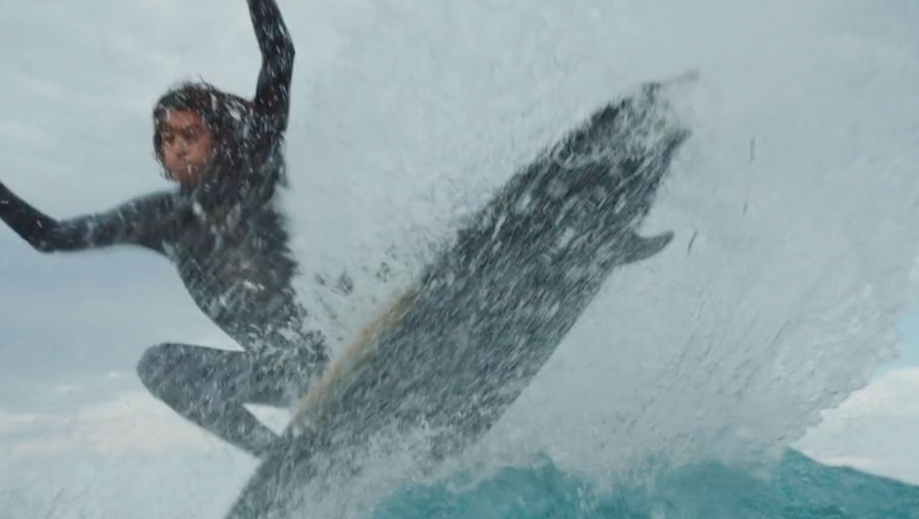 Craig Anderson