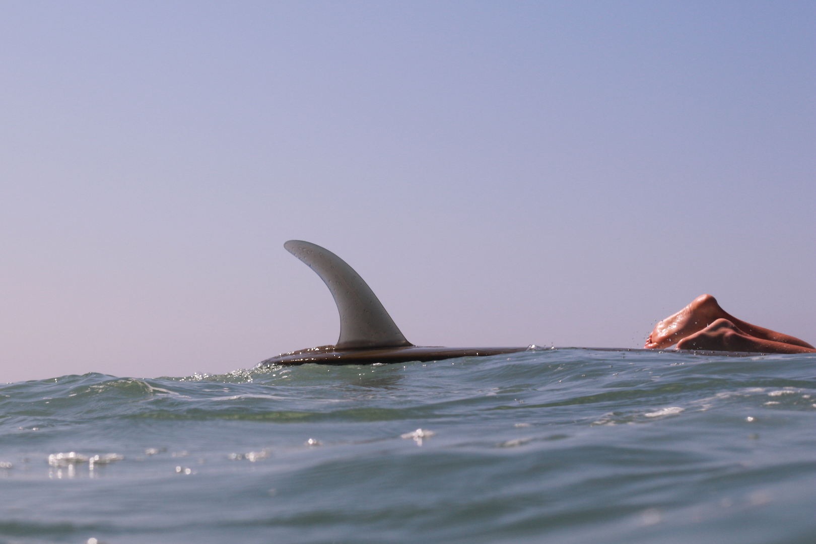 Coko Single Fin