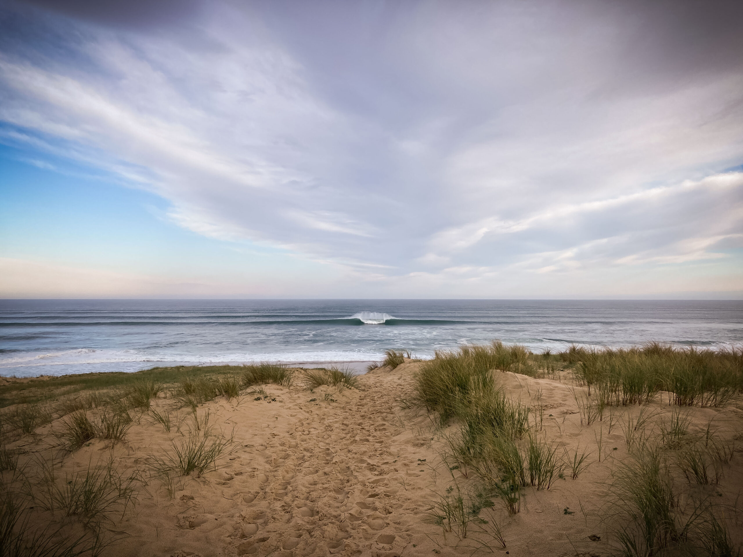 TEST Der neue SRFACE Eco Wetsuit aus Yulex Surfer...