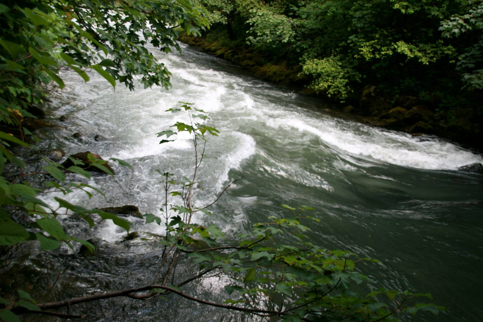 182448098_4111064672270776_3954054794694469947_n