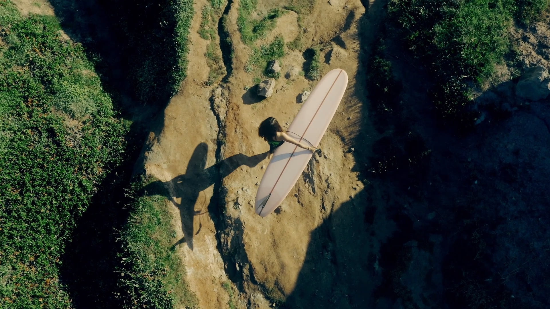 Lizzy shadow Lizzy shadow