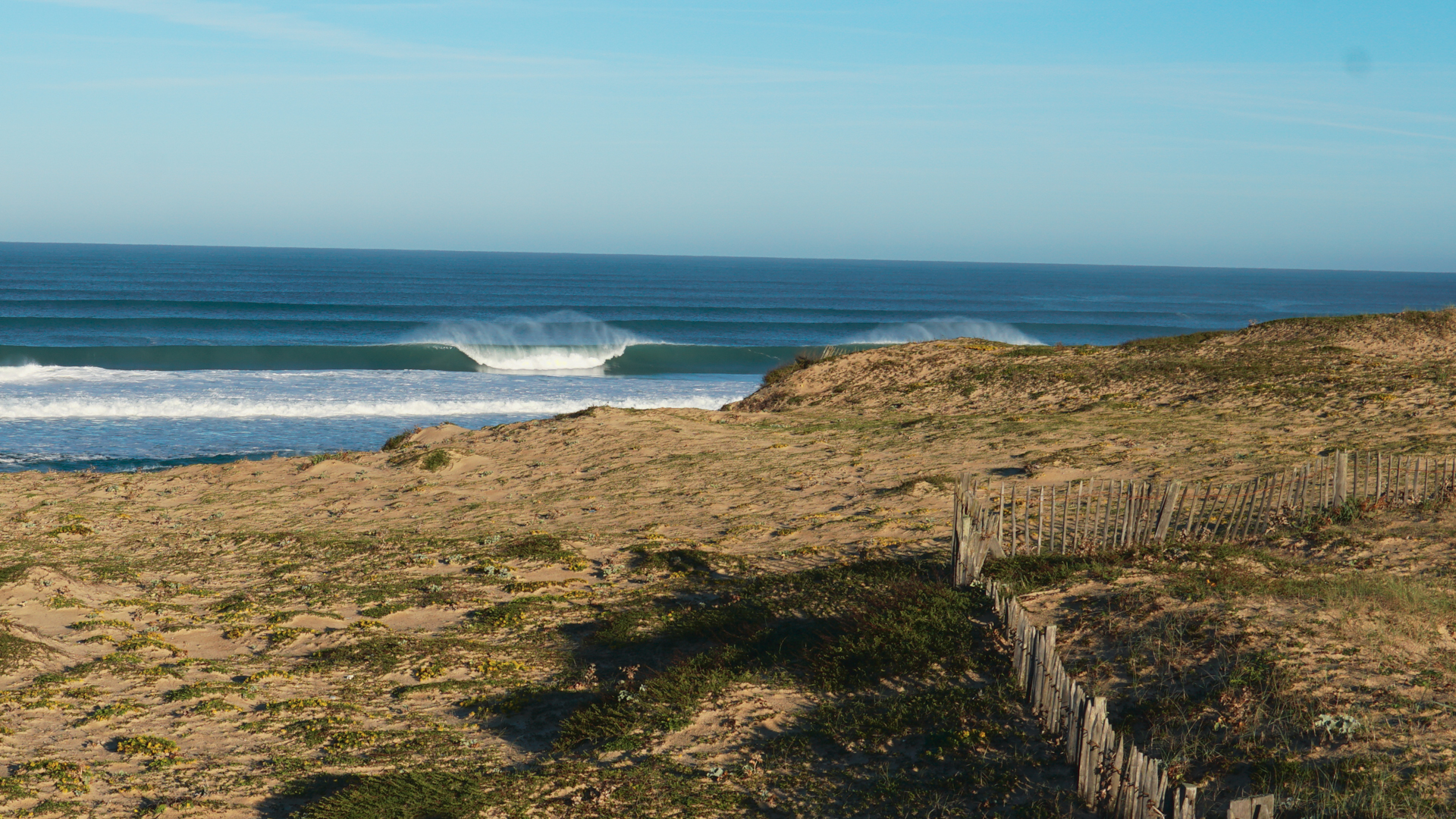 Surf DM 23 Surf DM 23