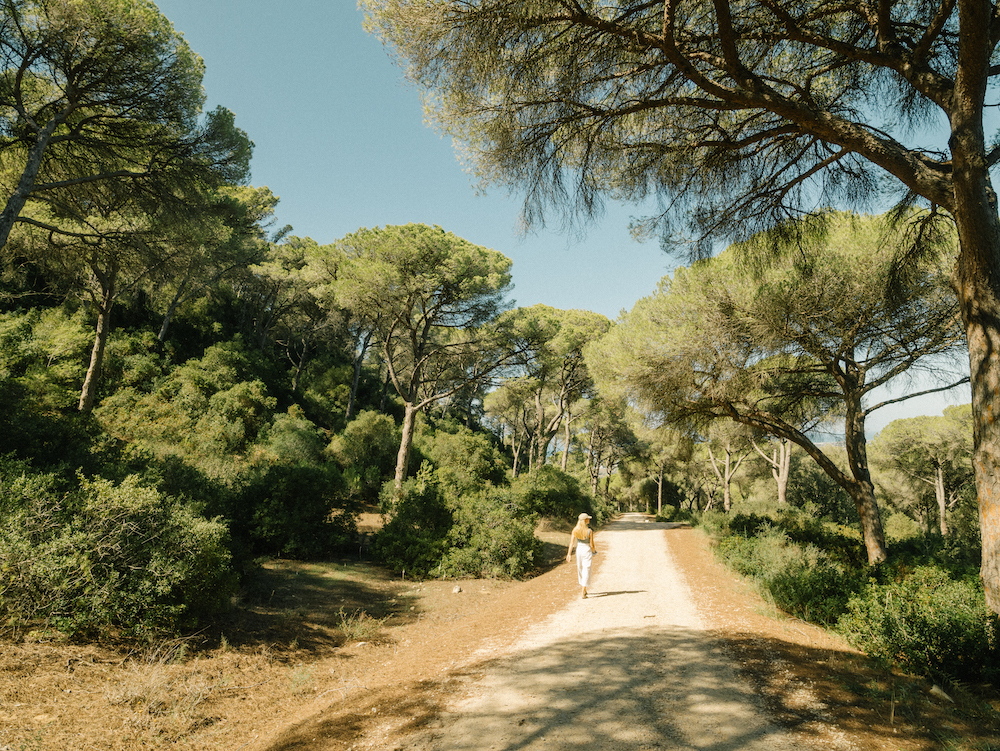 Surfen in Andalusien