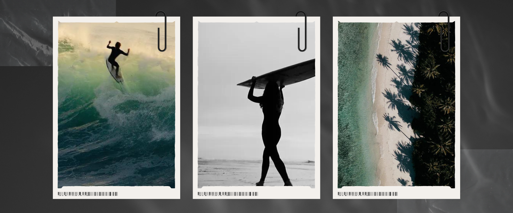 Prints: Sebastian Bechtel Prints: Sebastian Bechtel