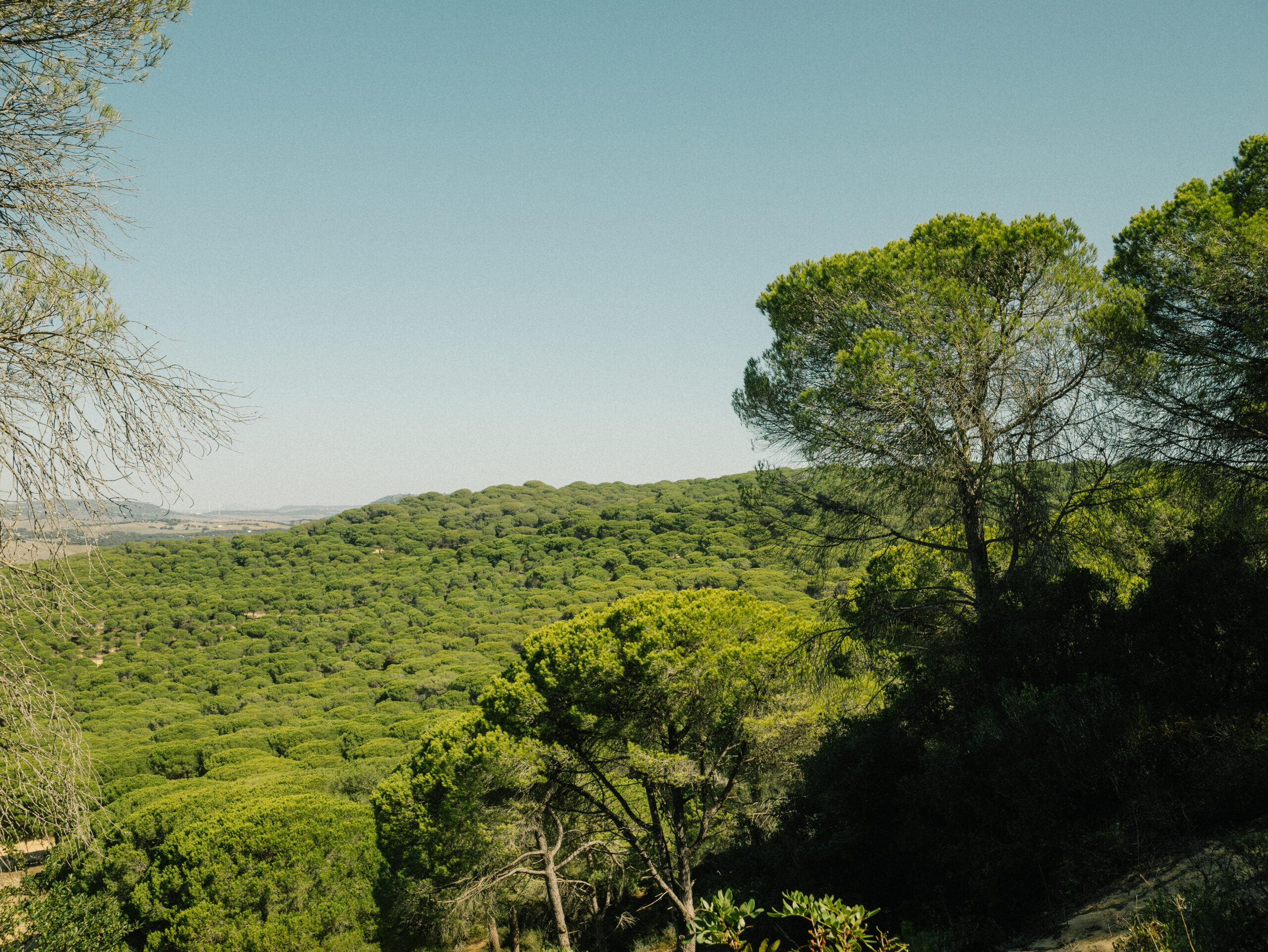 Surfen in Andalusien