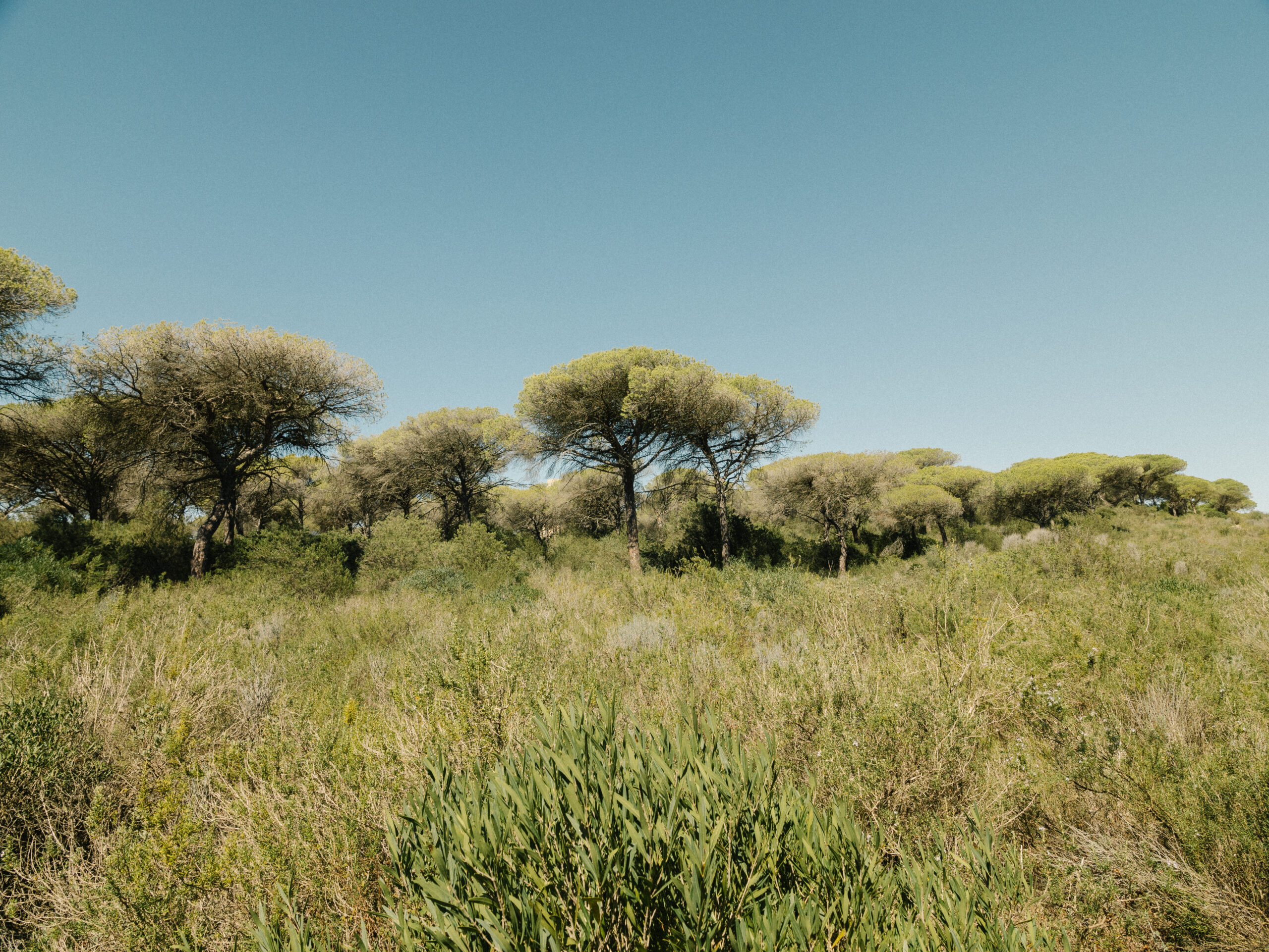 Surfen in Andalusien