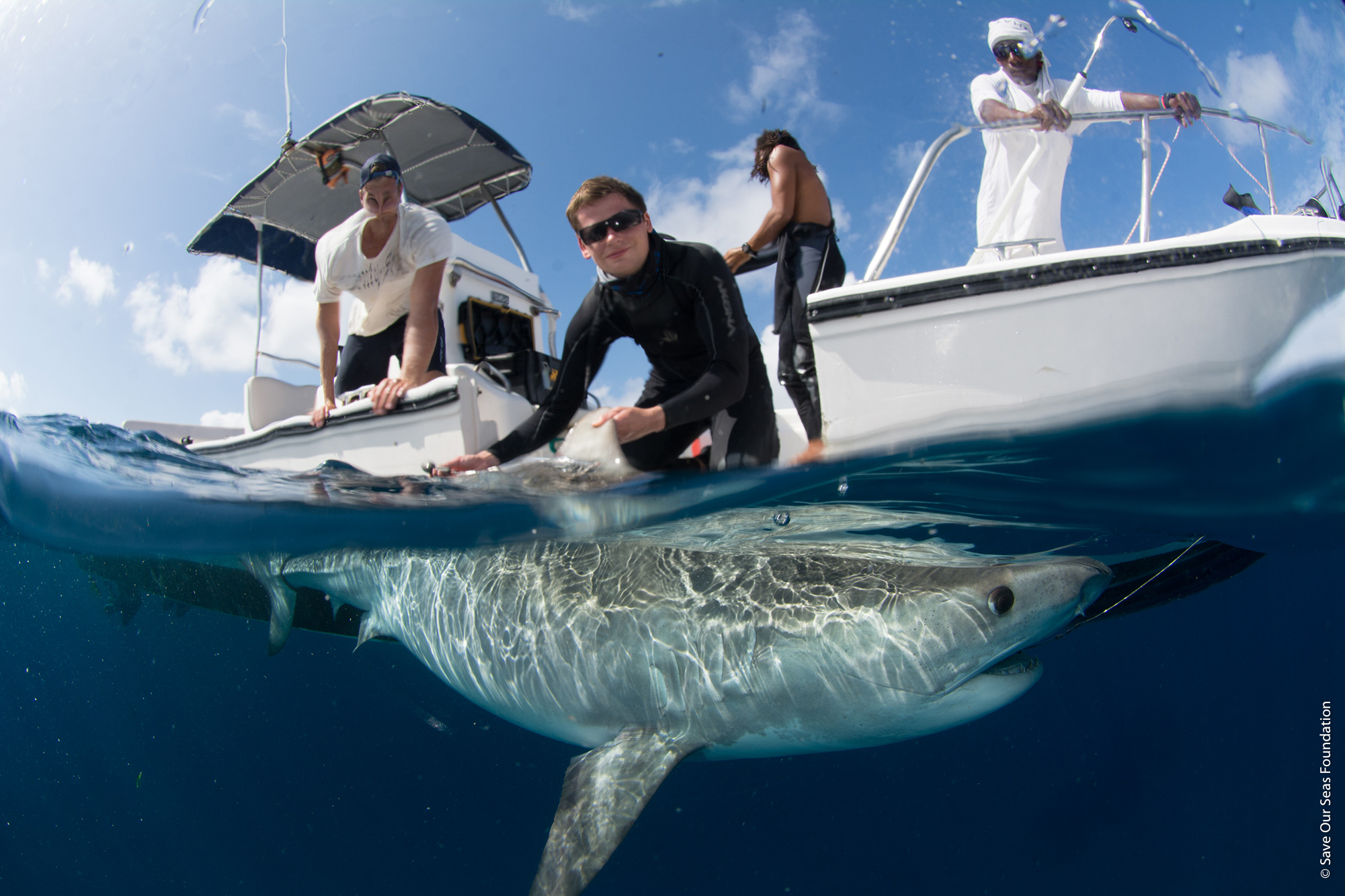 International OCEAN FILM TOUR Volume 10