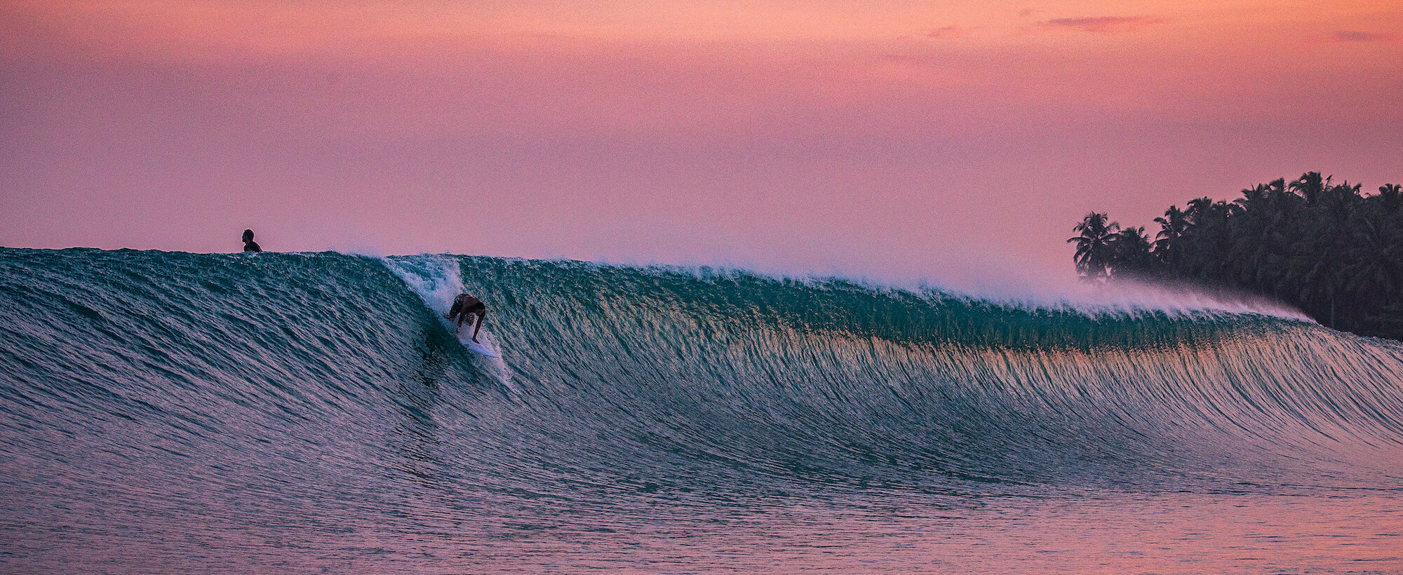 Manu Miguelez - Swell Charger