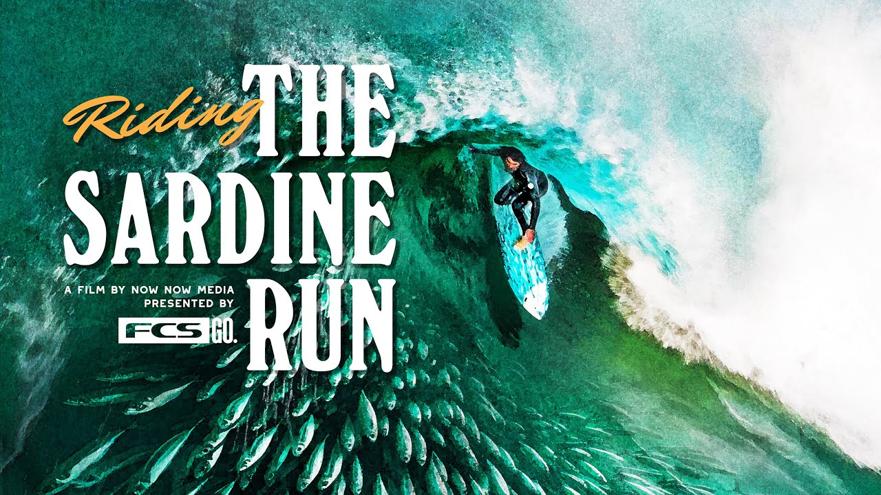 Riding the Sardine Run