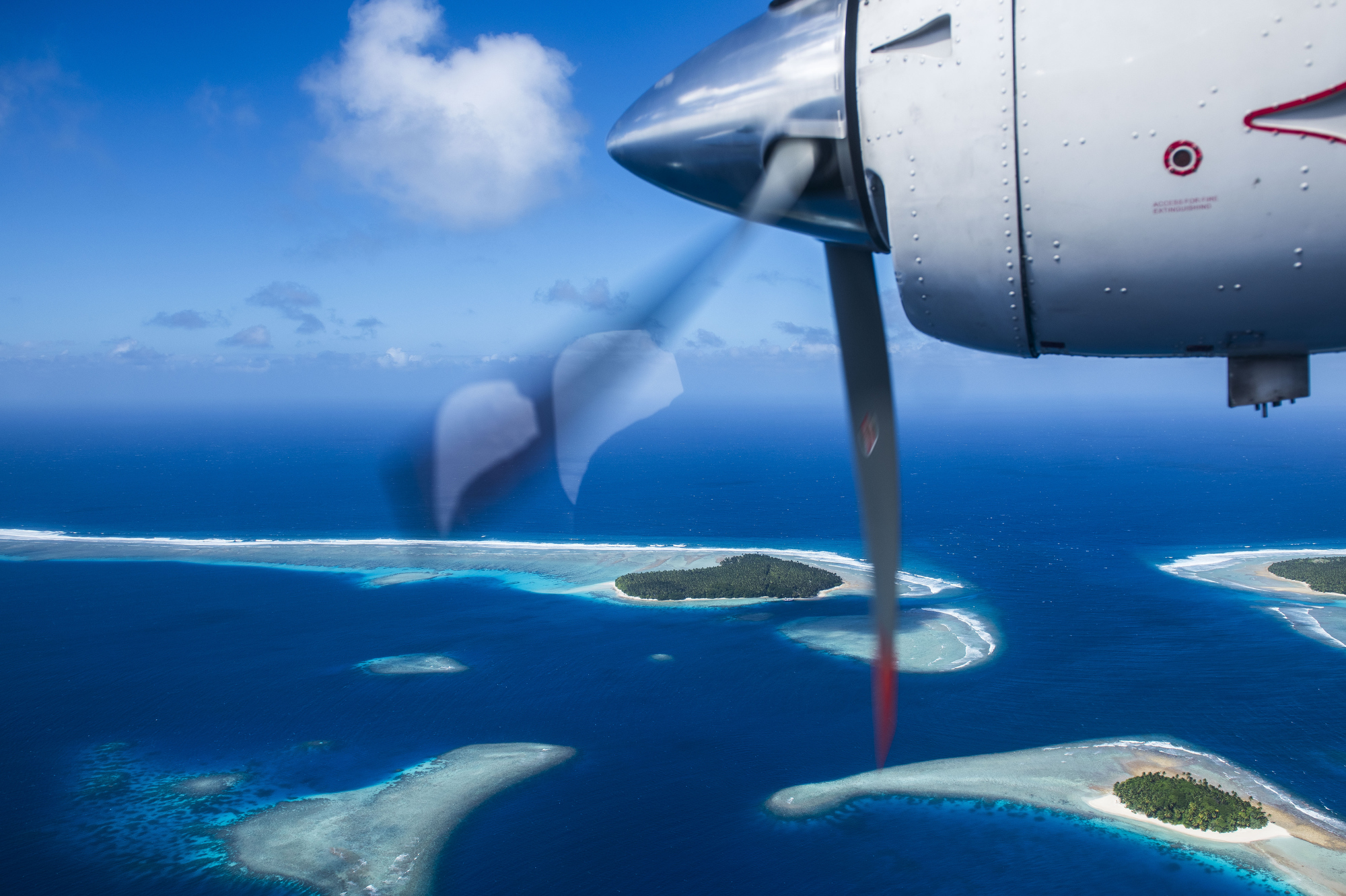 RM_20240107_NaturalSelection_0024