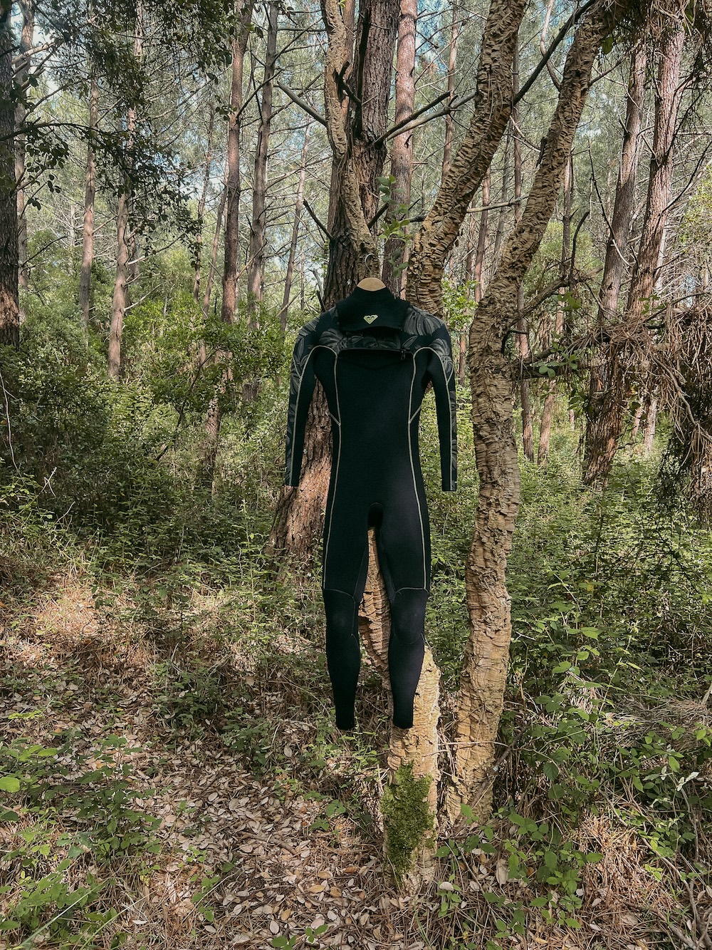 Mehr als ein Rennen: Festival-Feeling Pur!