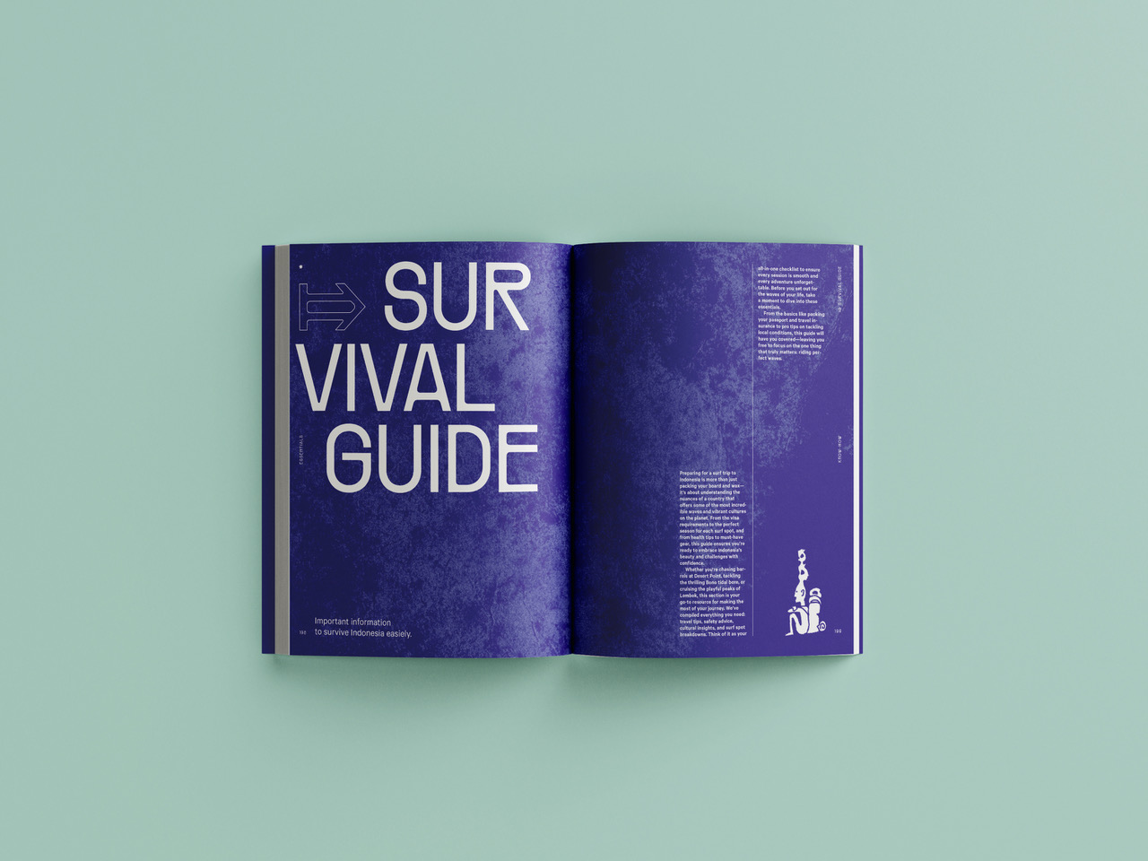 The Indo Surf Bible