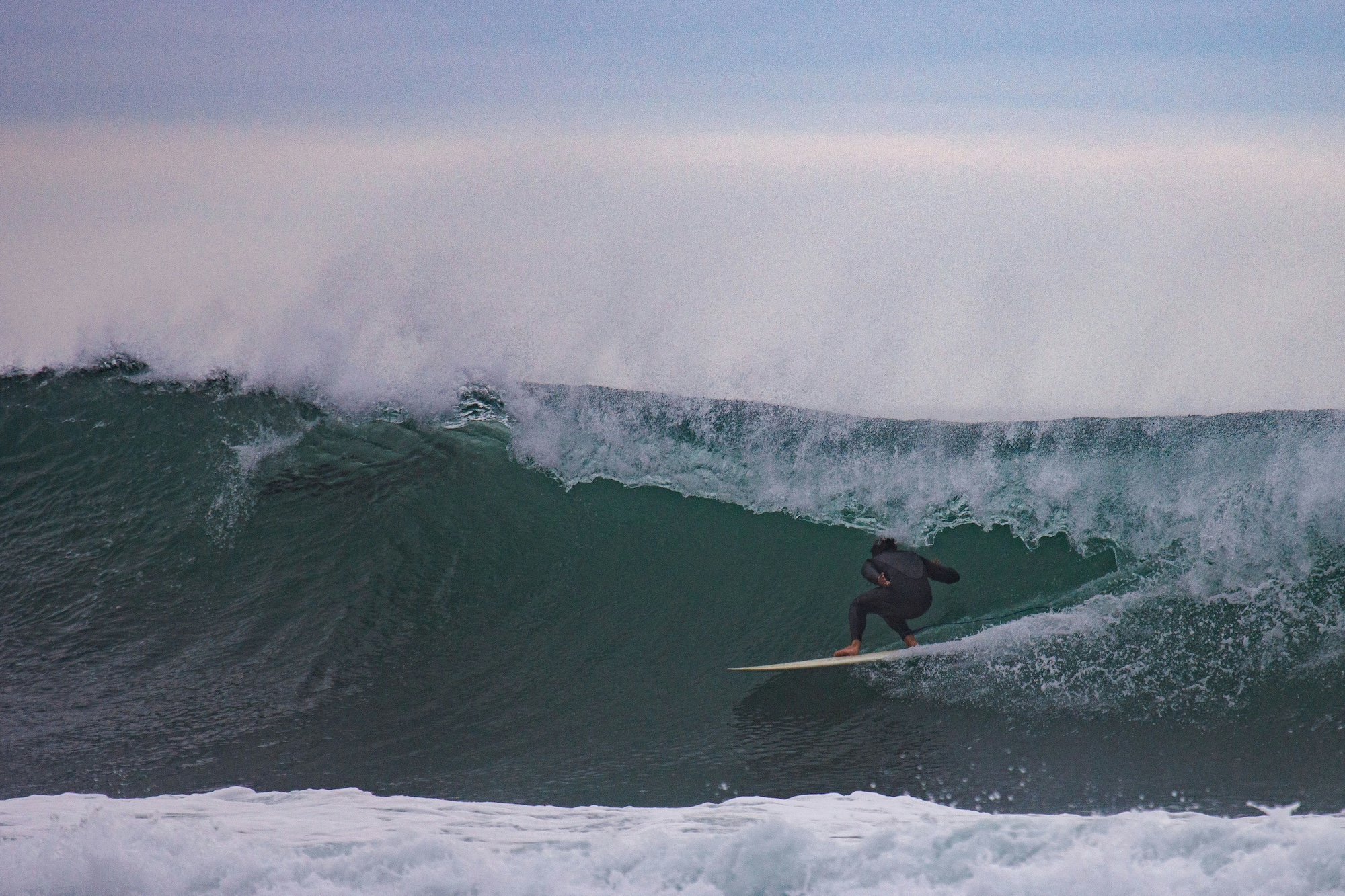 Wild Coast Spotguide Südafrika