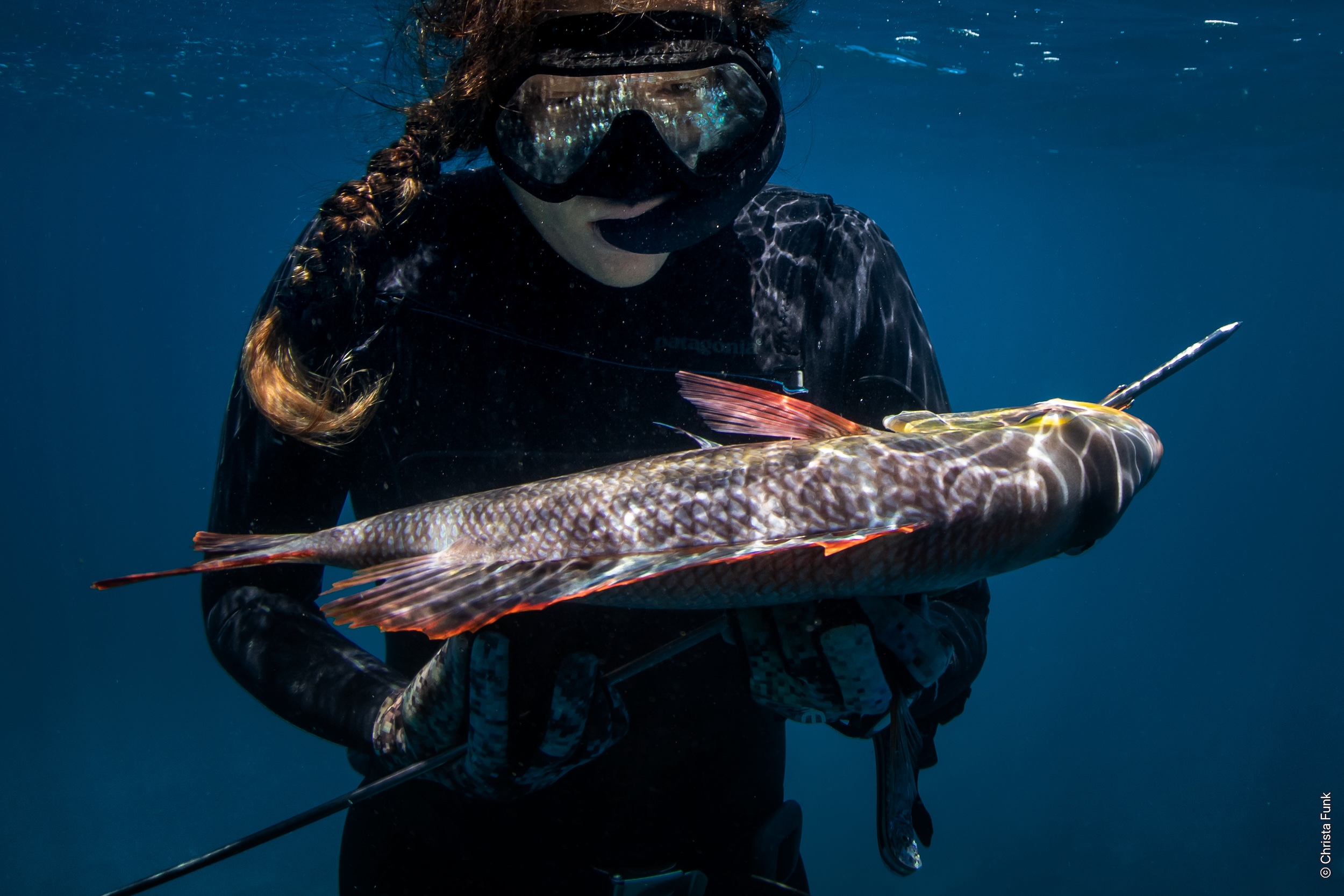 International Ocean Film Tour Volume 12