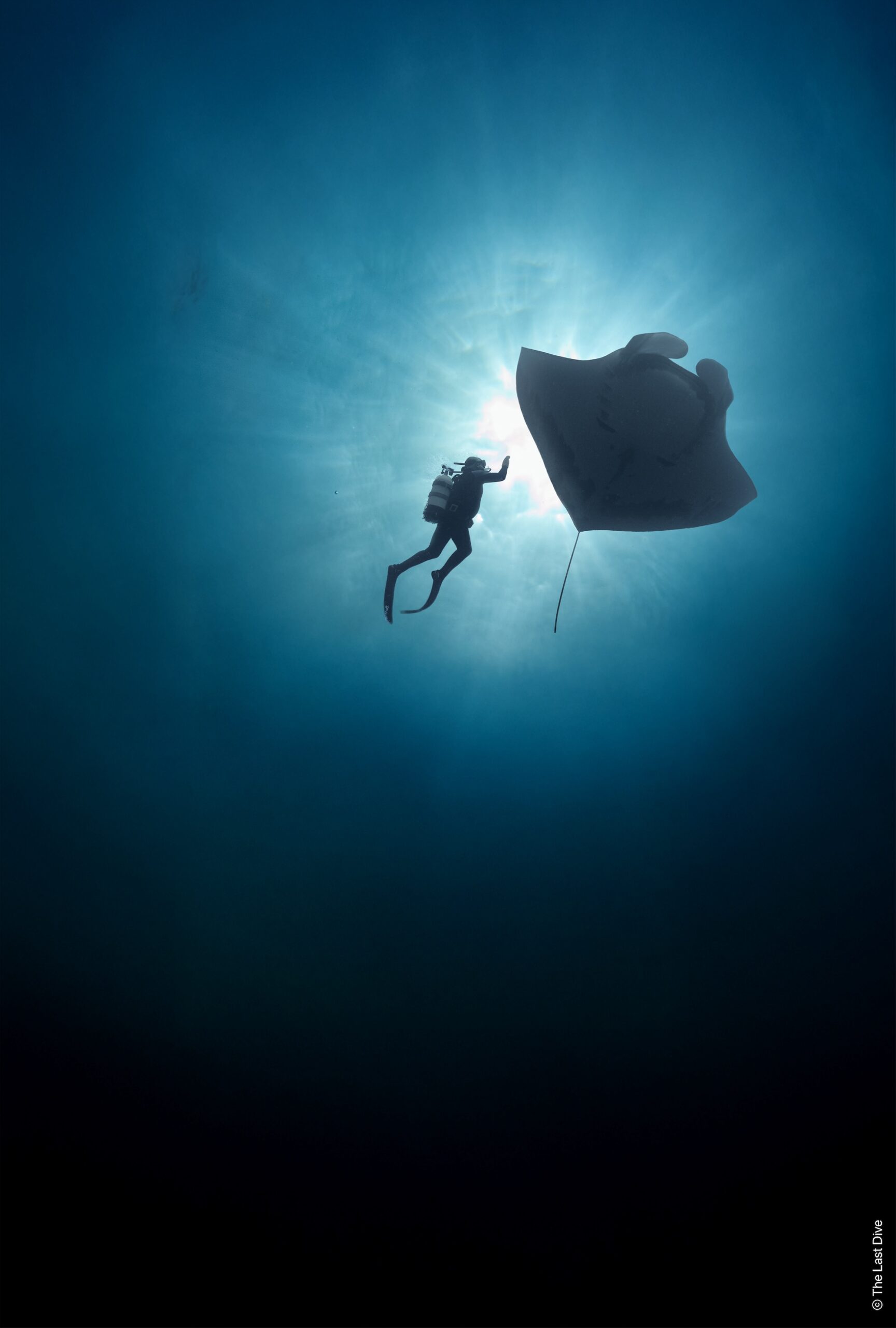 Die International Ocean Film Tour Volume 12 