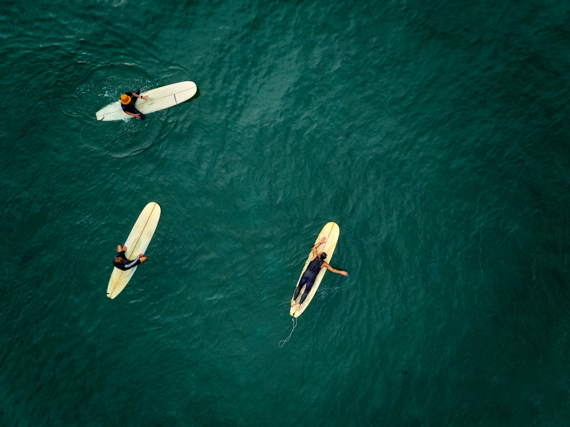 Surftrip Planen