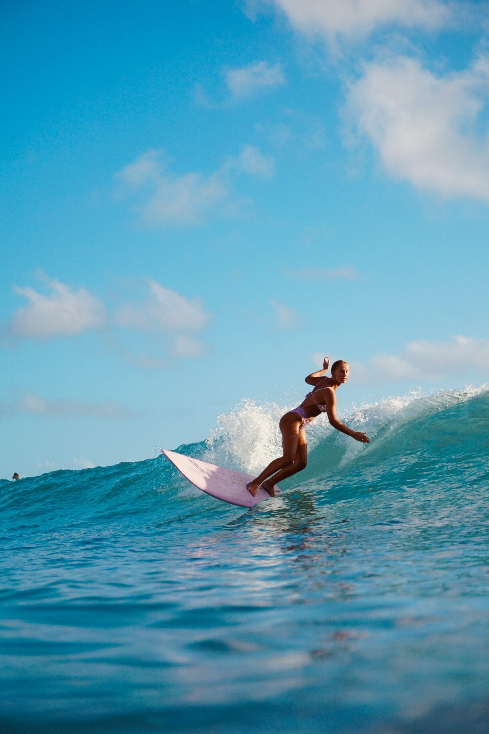 Surftrip Planen
