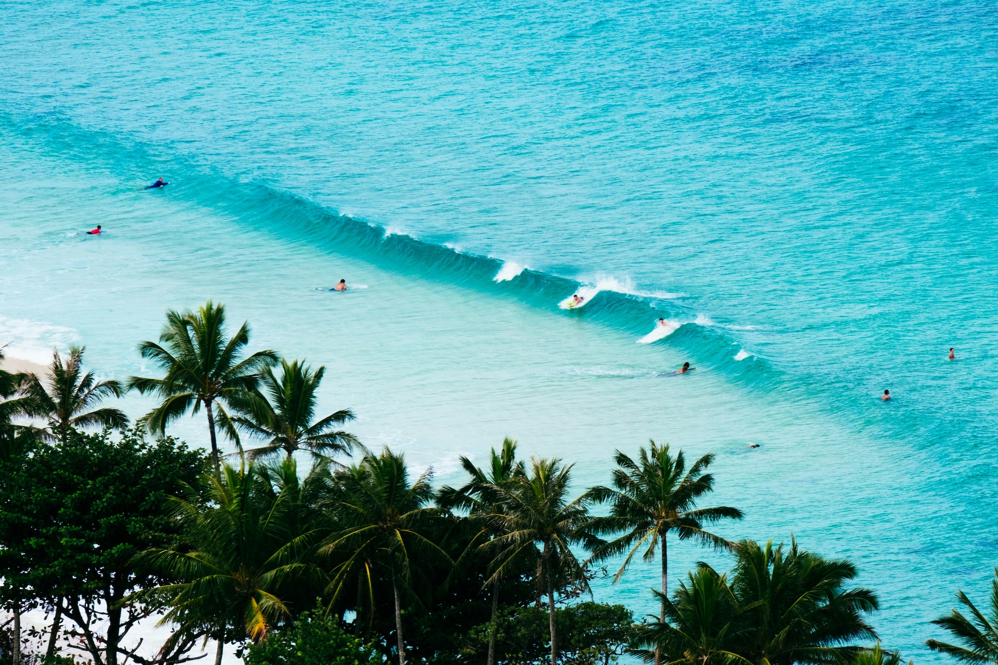 Surftrip Planen