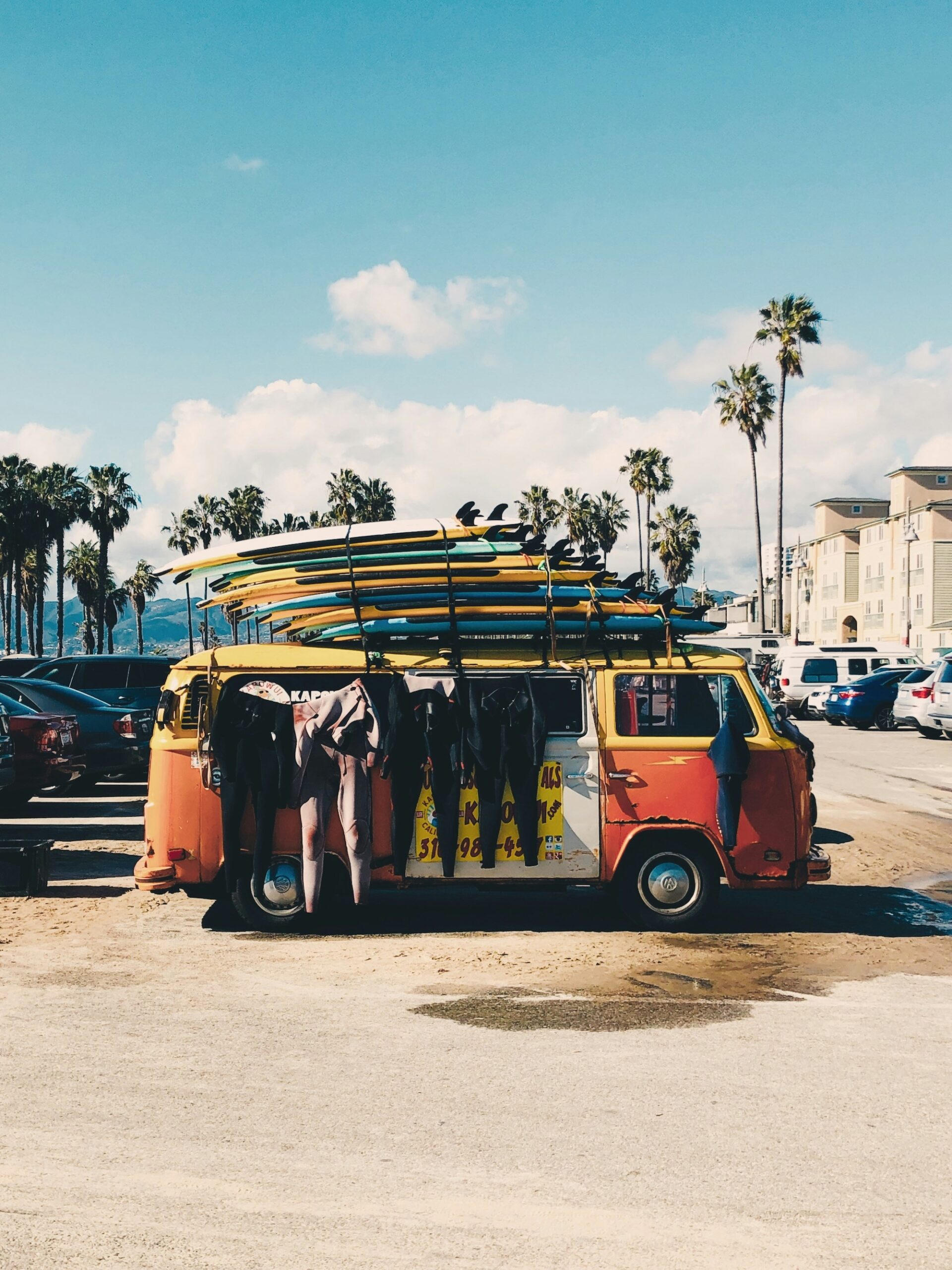 Surftrip Planen