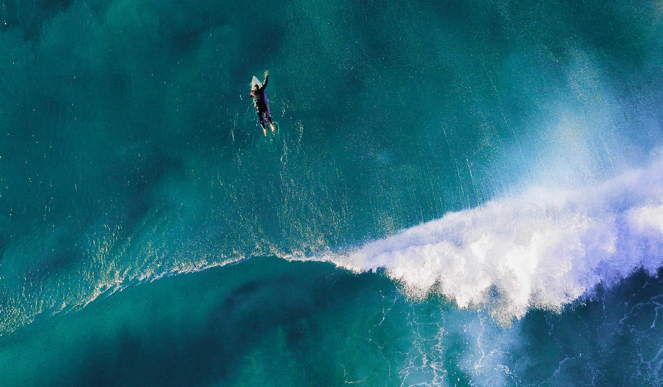 Surftrip Planen