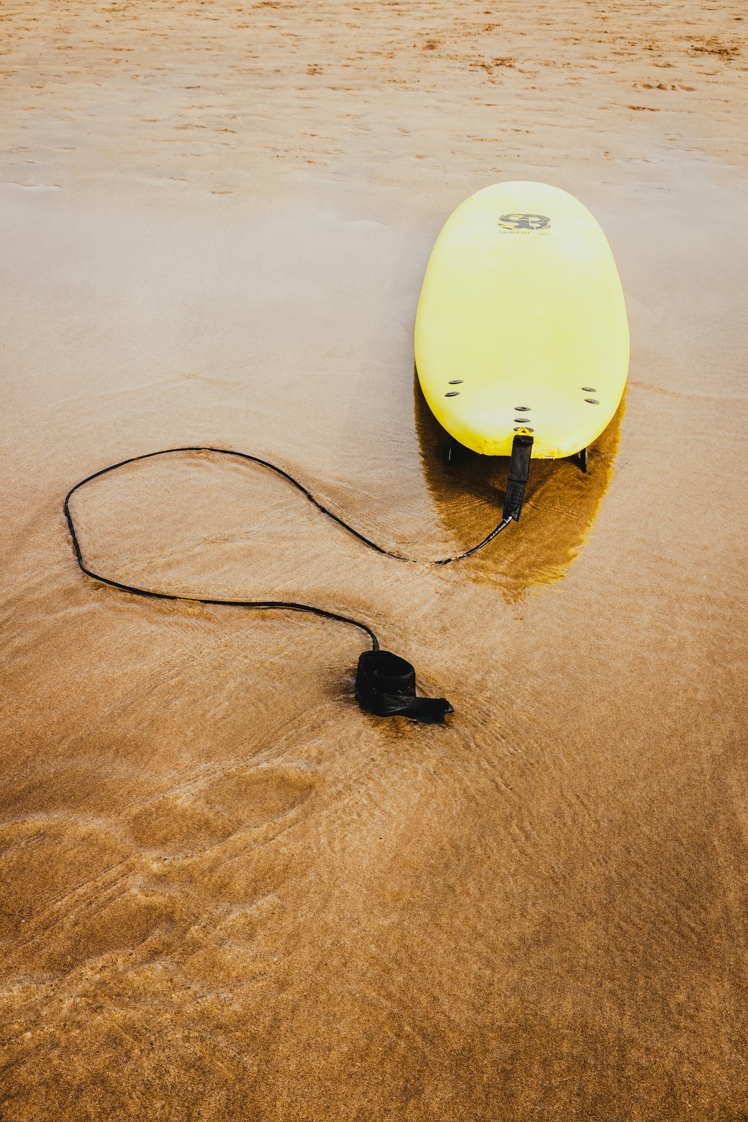 Softtop Surfboards