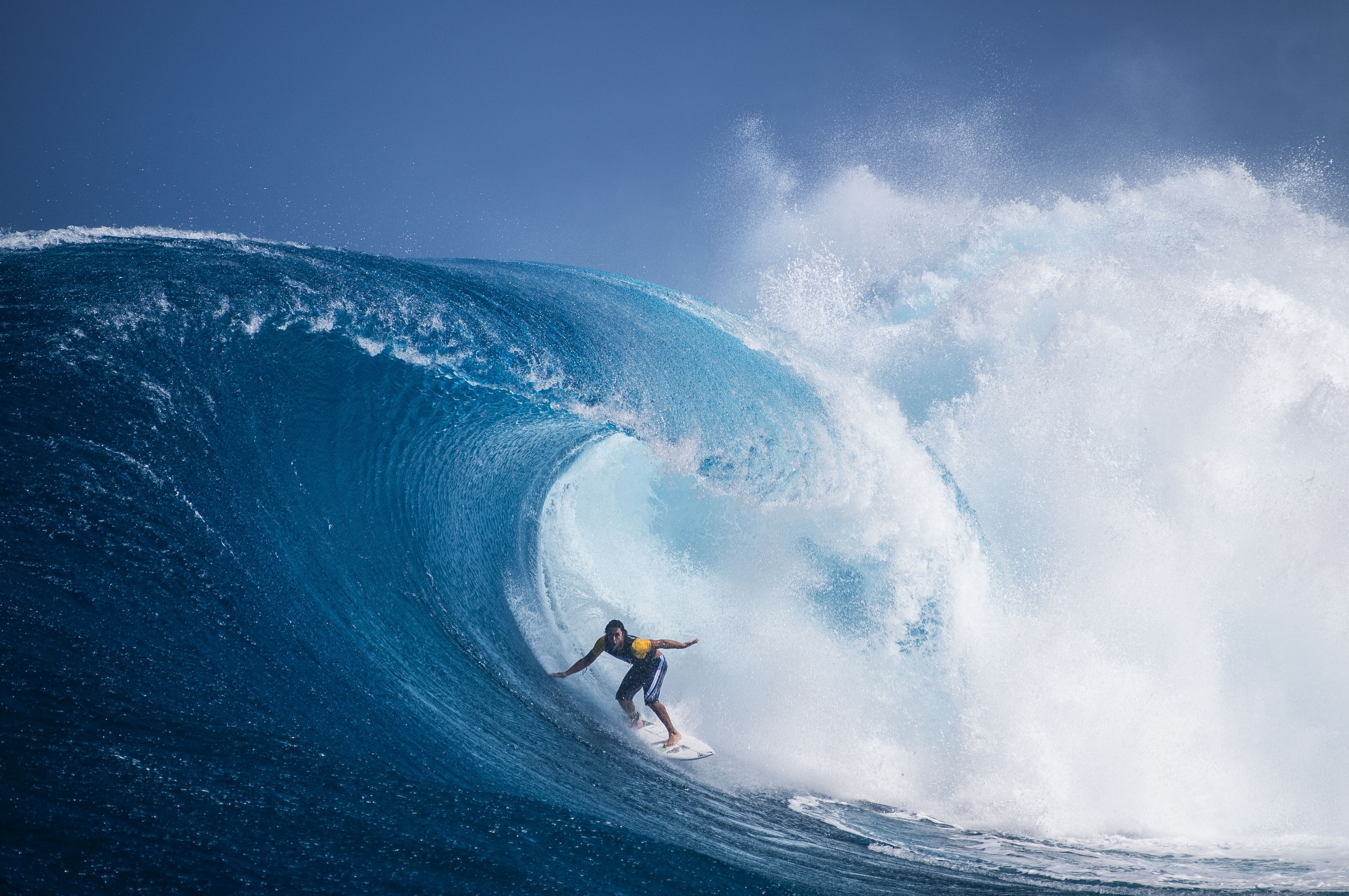 Natural Selection Surf 2026 Südafrika