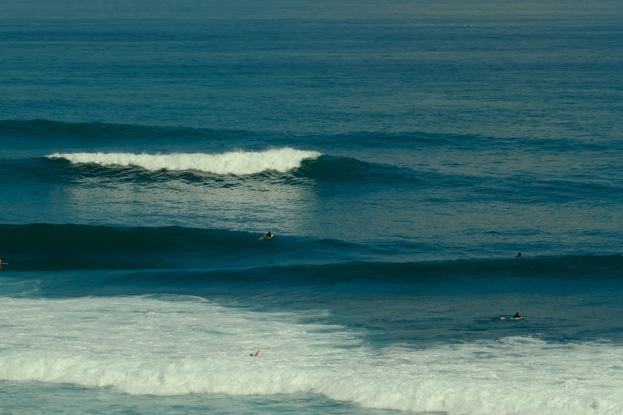 Swell