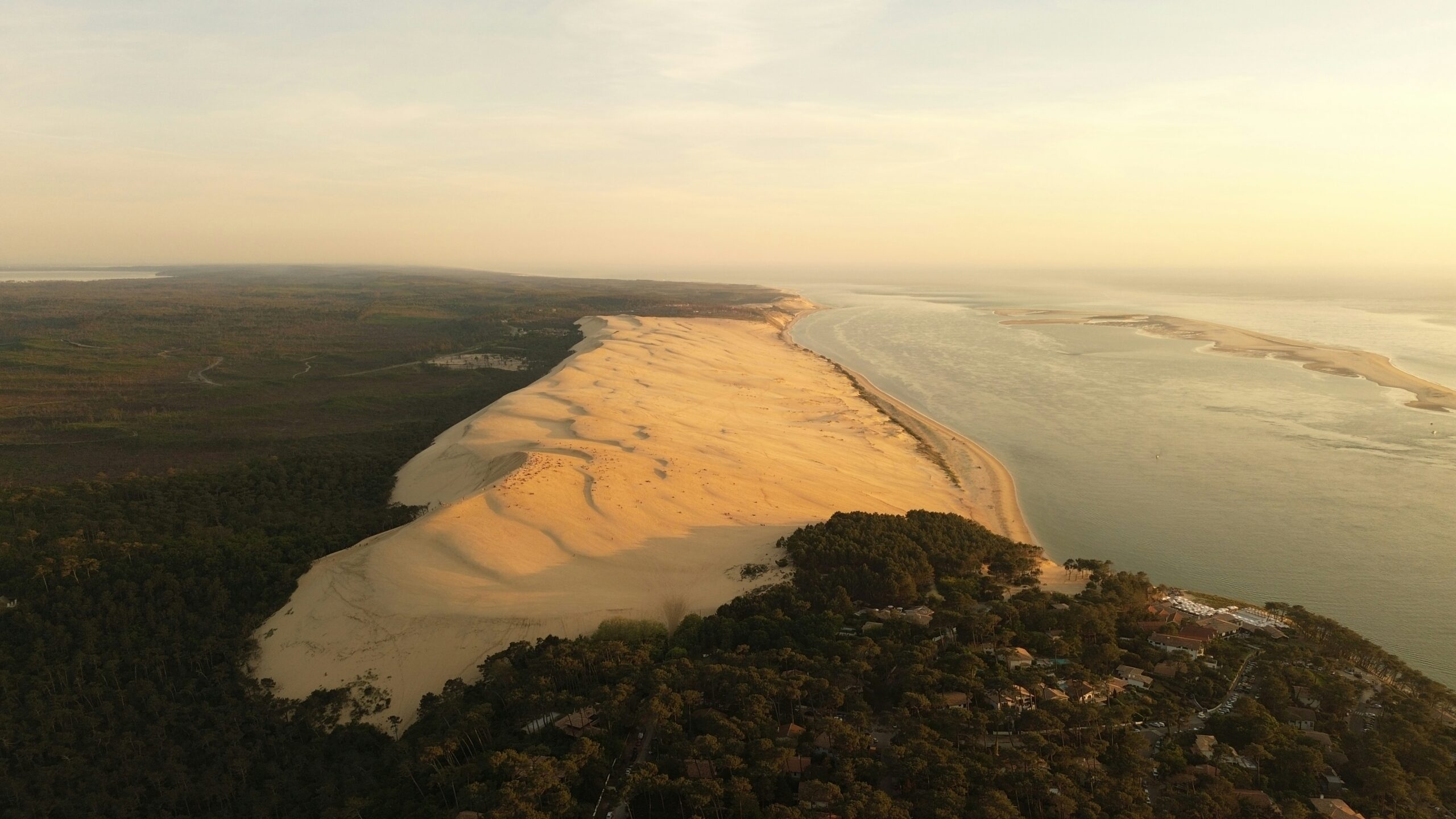 dune de pillard