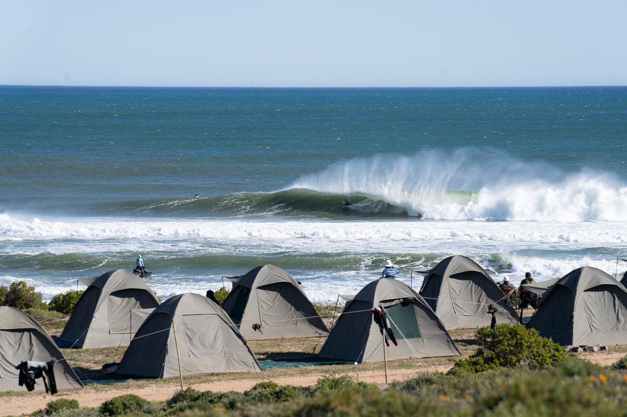 Natural Selection Surf 2026