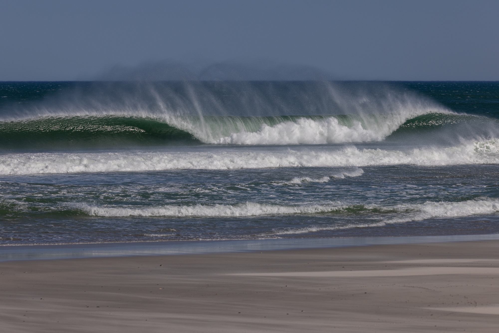 Natural Selection Surf 2026