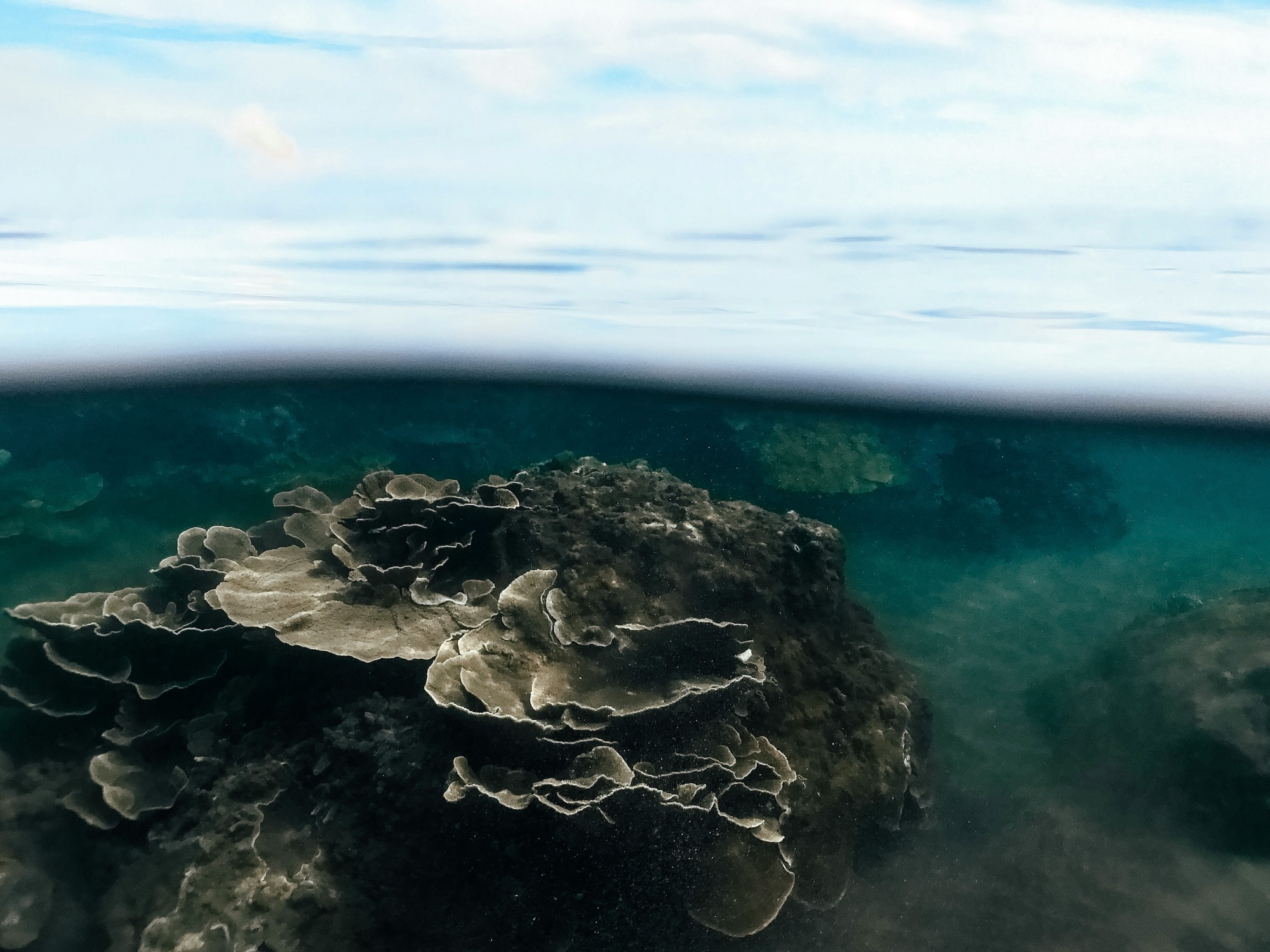 Klimawandel Surfen