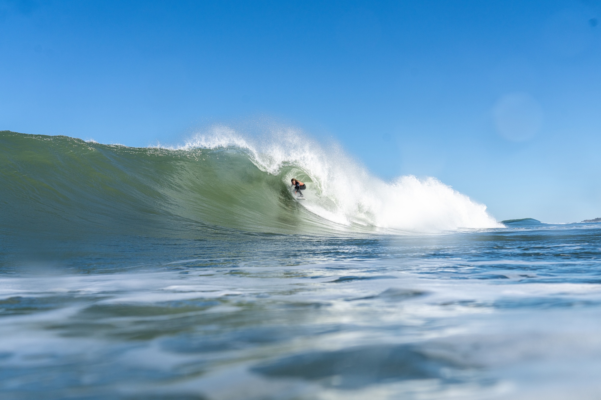 Natural Selection Surf 2026